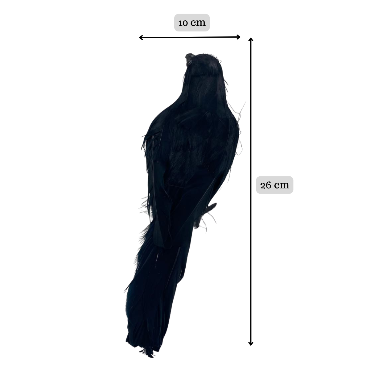 Pack 4 Cuervos Realista Emplumado Negro Halloween 2025-4