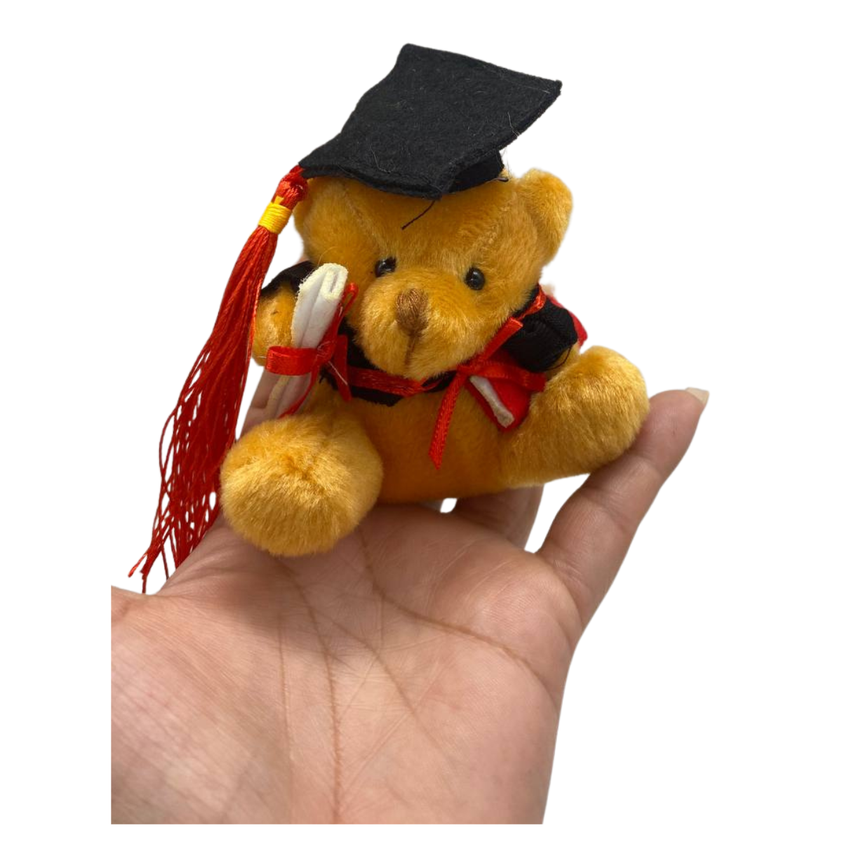 Pack 12 Ositos Surtidos Graduación Obsequio Regalo-2