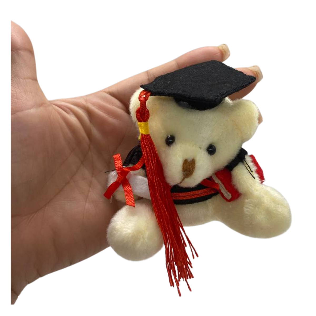 Pack 12 Ositos Surtidos Graduación Obsequio Regalo-3