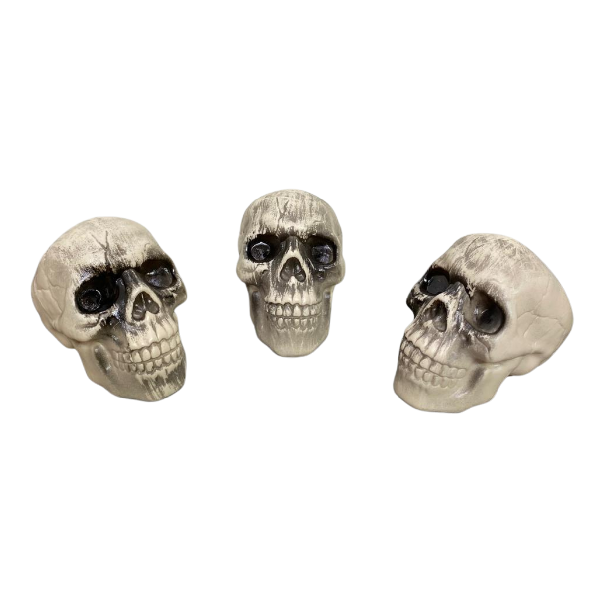 Pack 3 Calaveras Decoración Fiestas Halloween 2025-1
