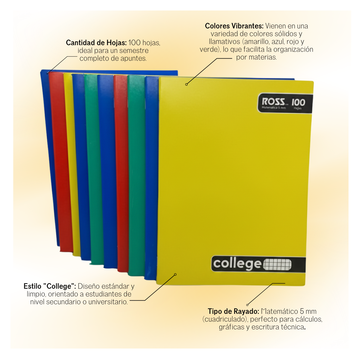 Pack 10 Cuadernos Ross Collage 5mm 100 Hojas 24.5x18 Cm-3