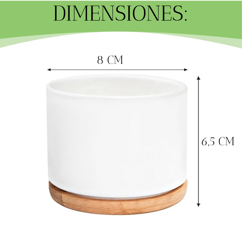 Macetero De Ceramica Para Suculentas / Cilindro-2