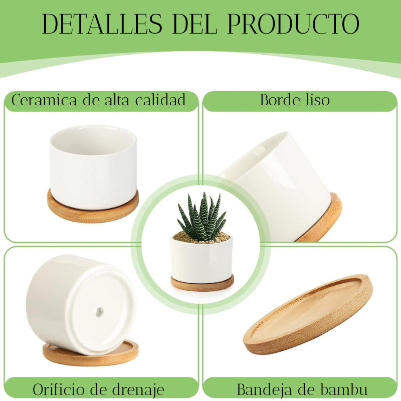 Macetero De Ceramica Para Suculentas / Cilindro-3