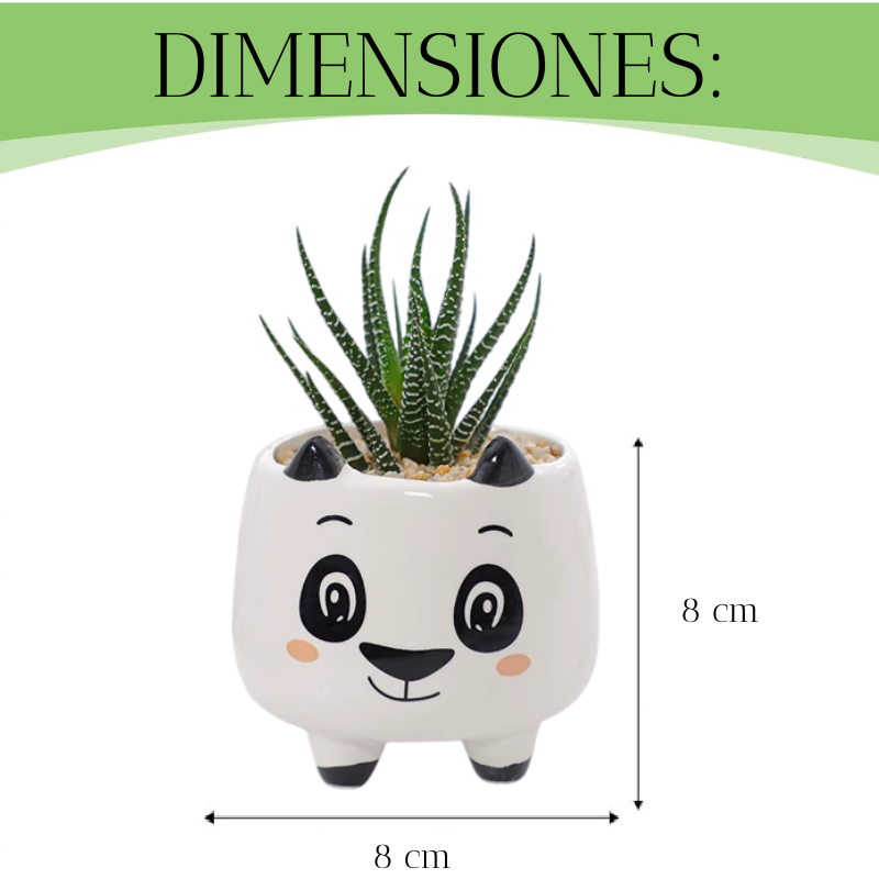 3 Pza Maceteros Para Suculentas De Ceramica Diseños Animales-2