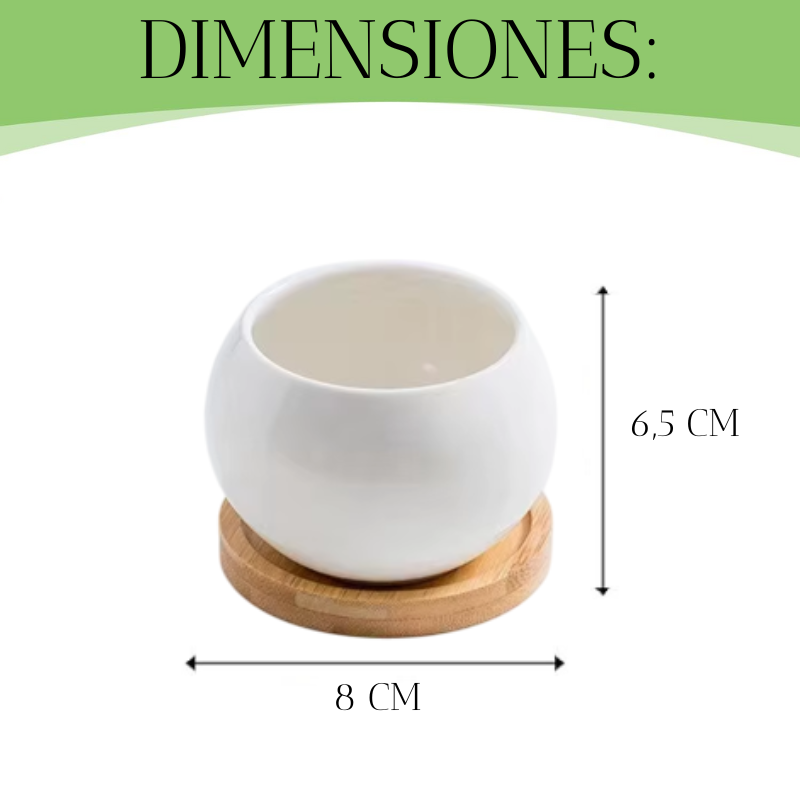 Macetero De Ceramica Para Suculentas / Balon-2