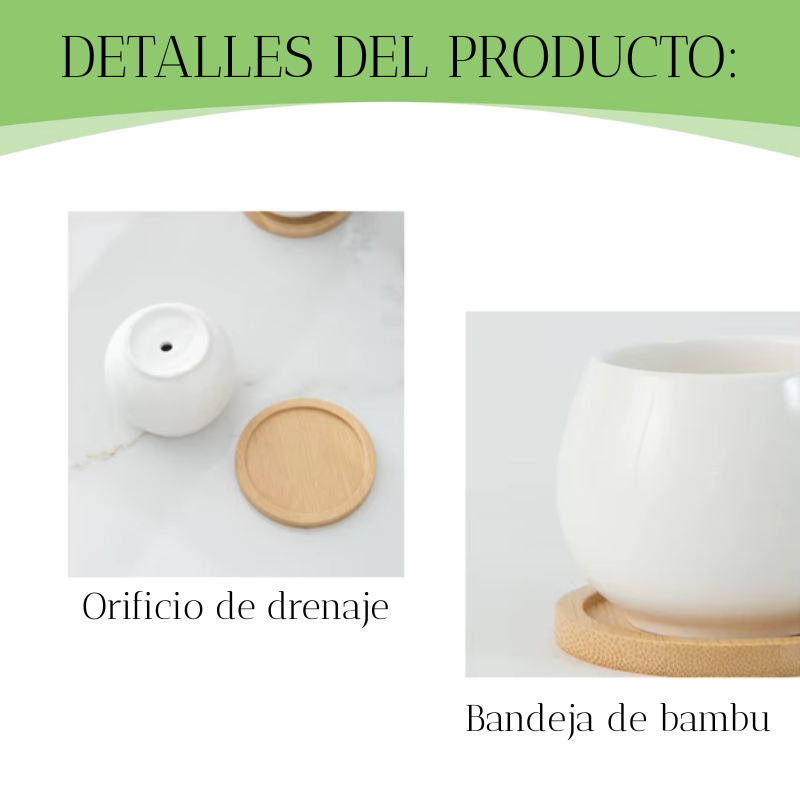 Macetero De Ceramica Para Suculentas / Balon-3