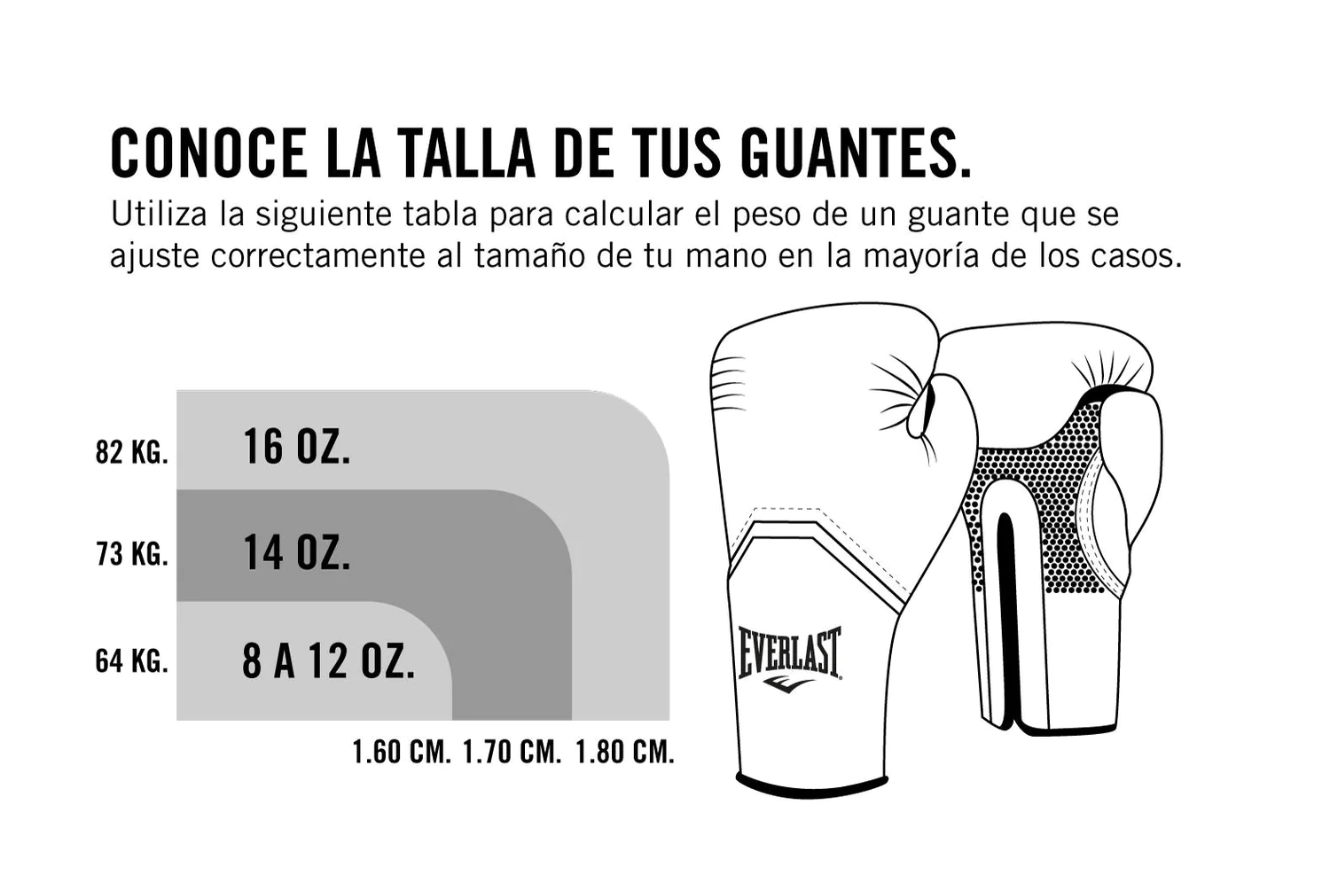 Guantes De Boxeo Everlast Powerlock 2 TR Hook & Loop Negro Dorado-2