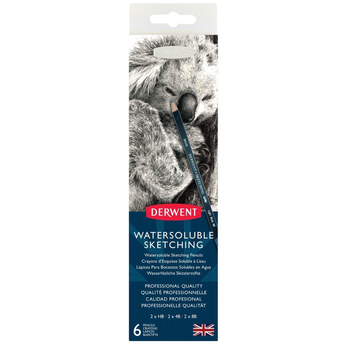Lápices Grafito Acuarelable Derwent 3 Graduaciones-3