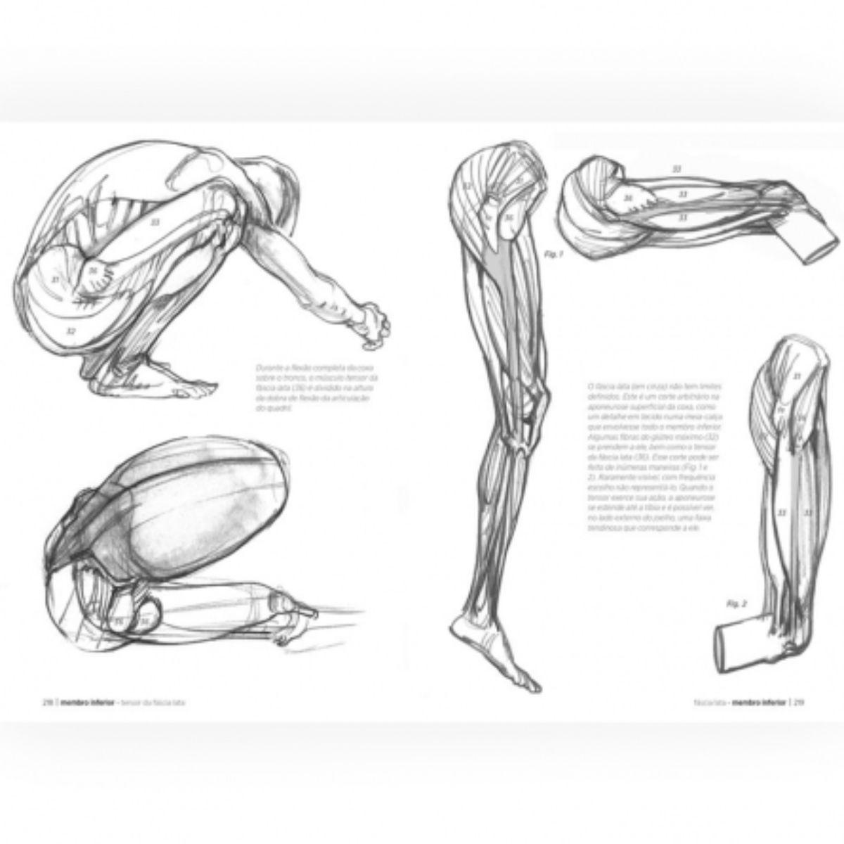 Libro Anatomía Artística Michel Lauricella-3