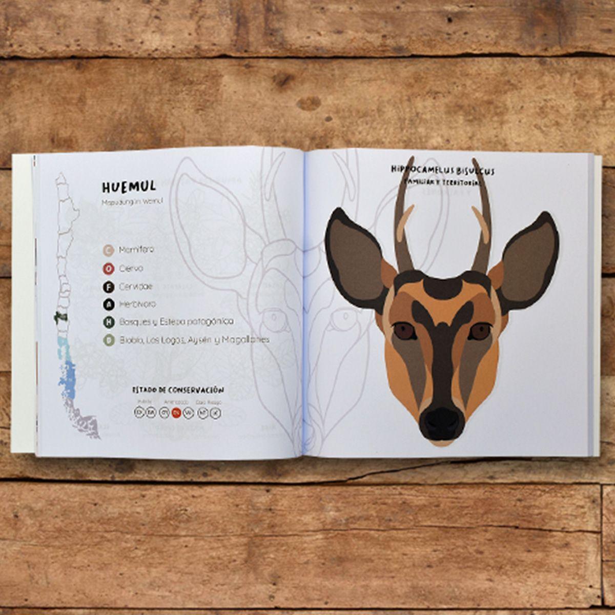 Libro Colorear Rostros Nativos de Chile Mamíferos de Tierra-2