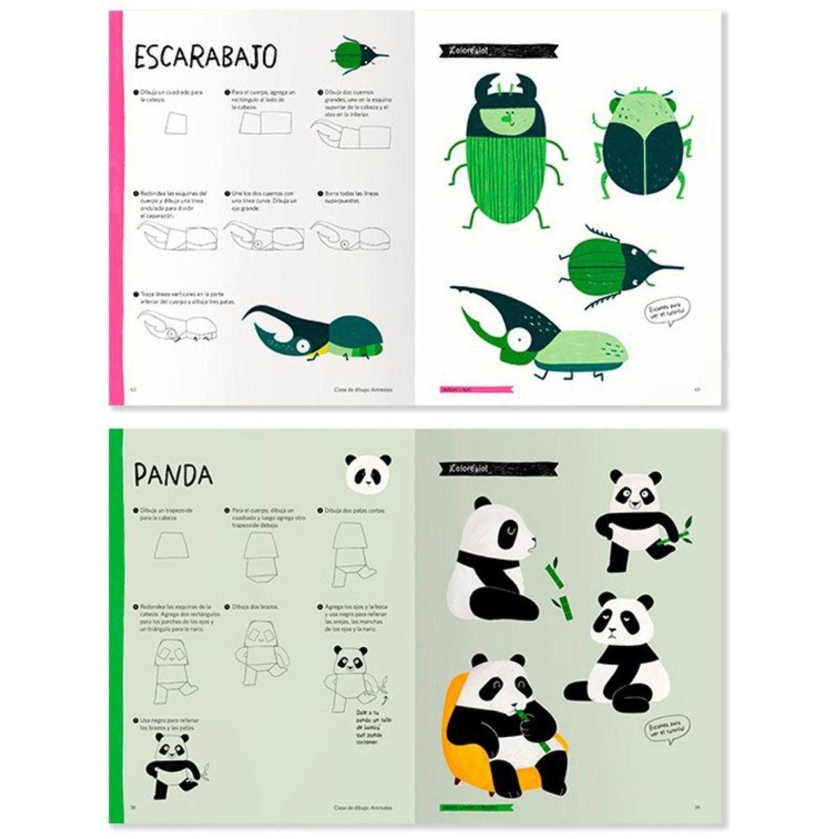 Libro Clase de Dibujo Animales Heegyum Kim-2