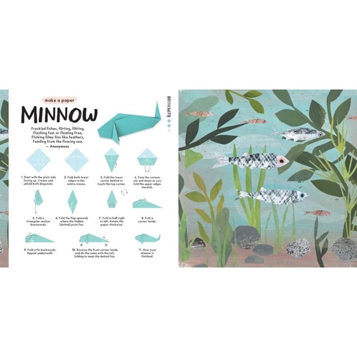Libro Origami de La Naturaleza De Clover Robin-2