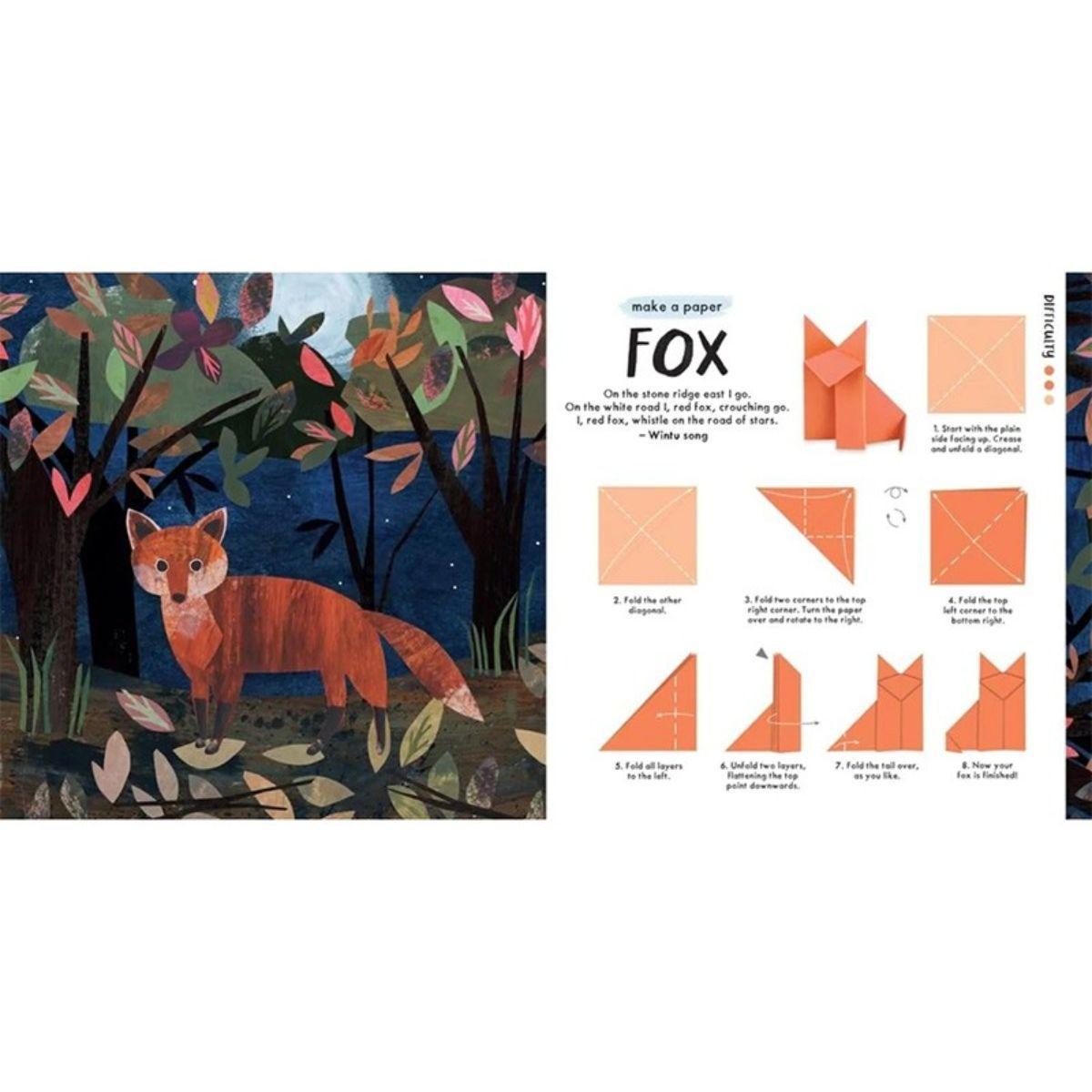 Libro Origami de La Naturaleza De Clover Robin-3