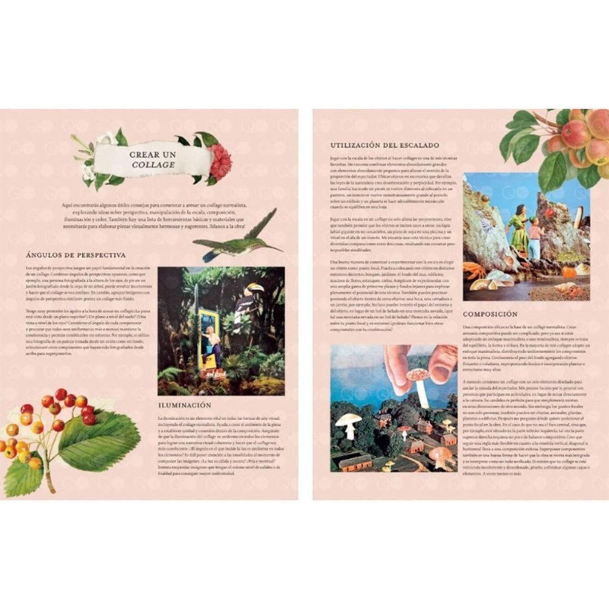Libro Recorta y Crea Collages Botánicos De Katy Mcnulty-4