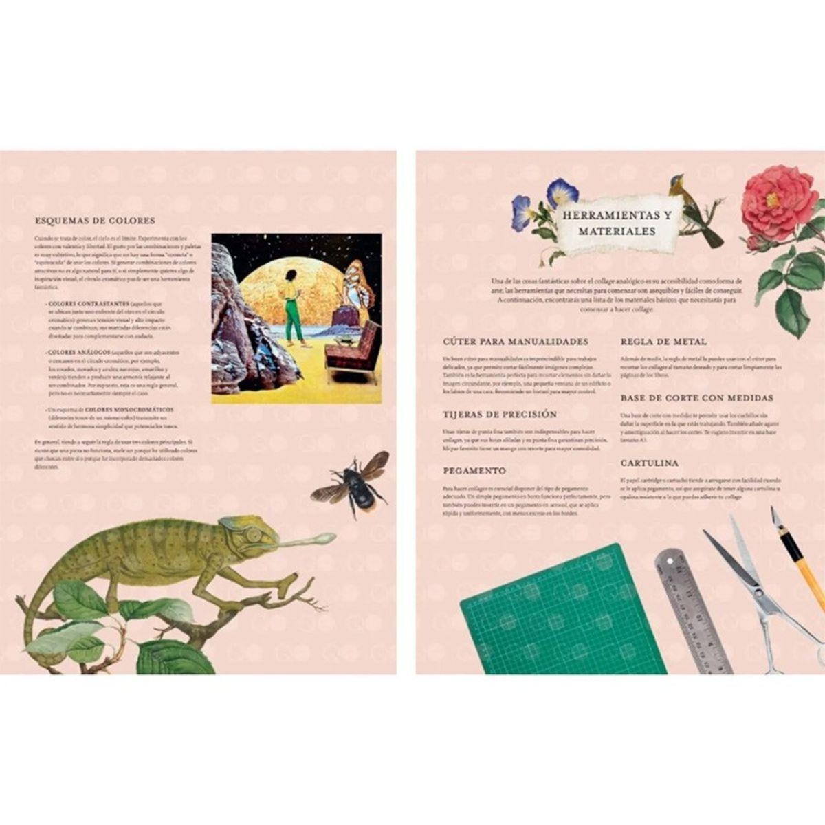 Libro Recorta y Crea Collages Botánicos De Katy Mcnulty-5