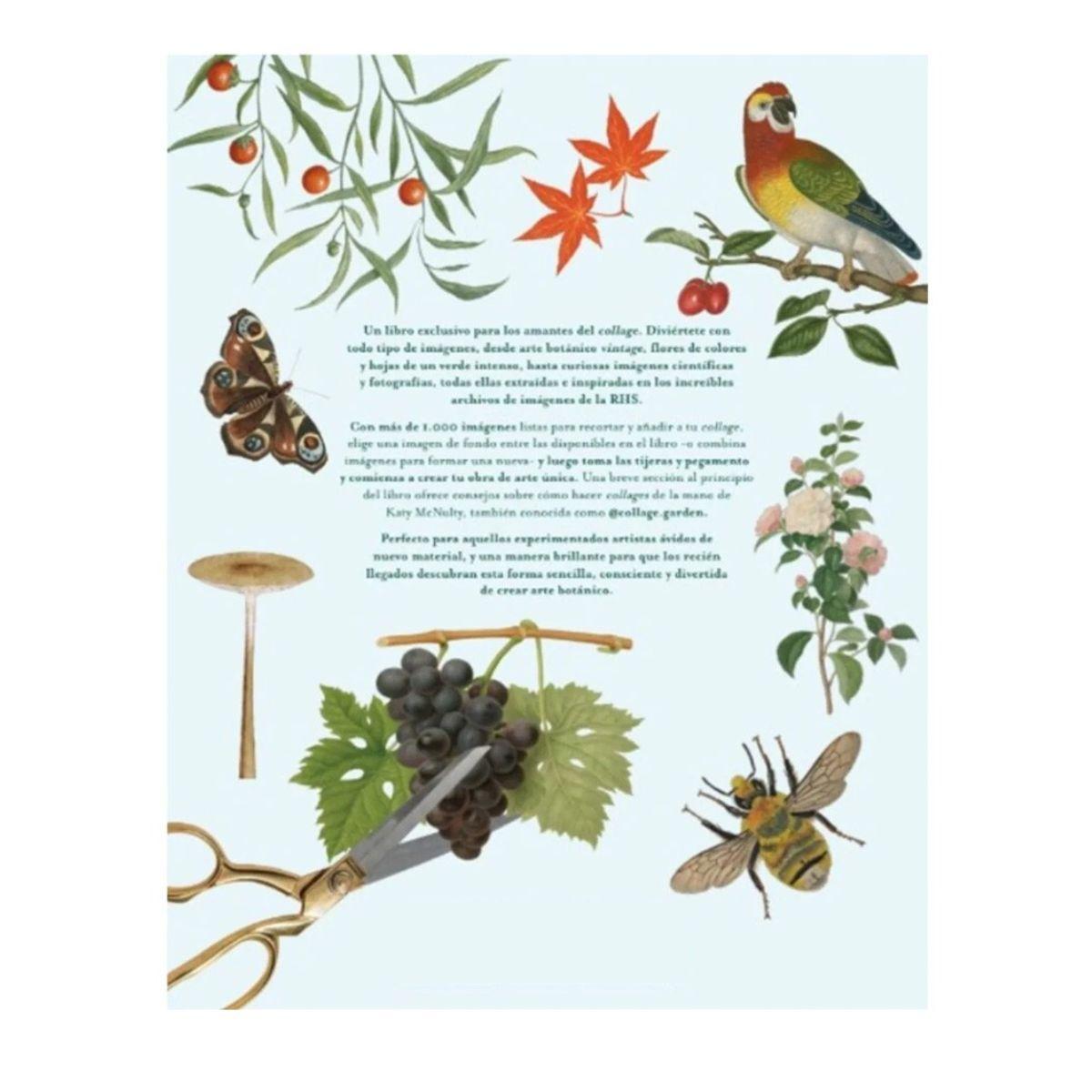 Libro Recorta y Crea Collages Botánicos De Katy Mcnulty-6