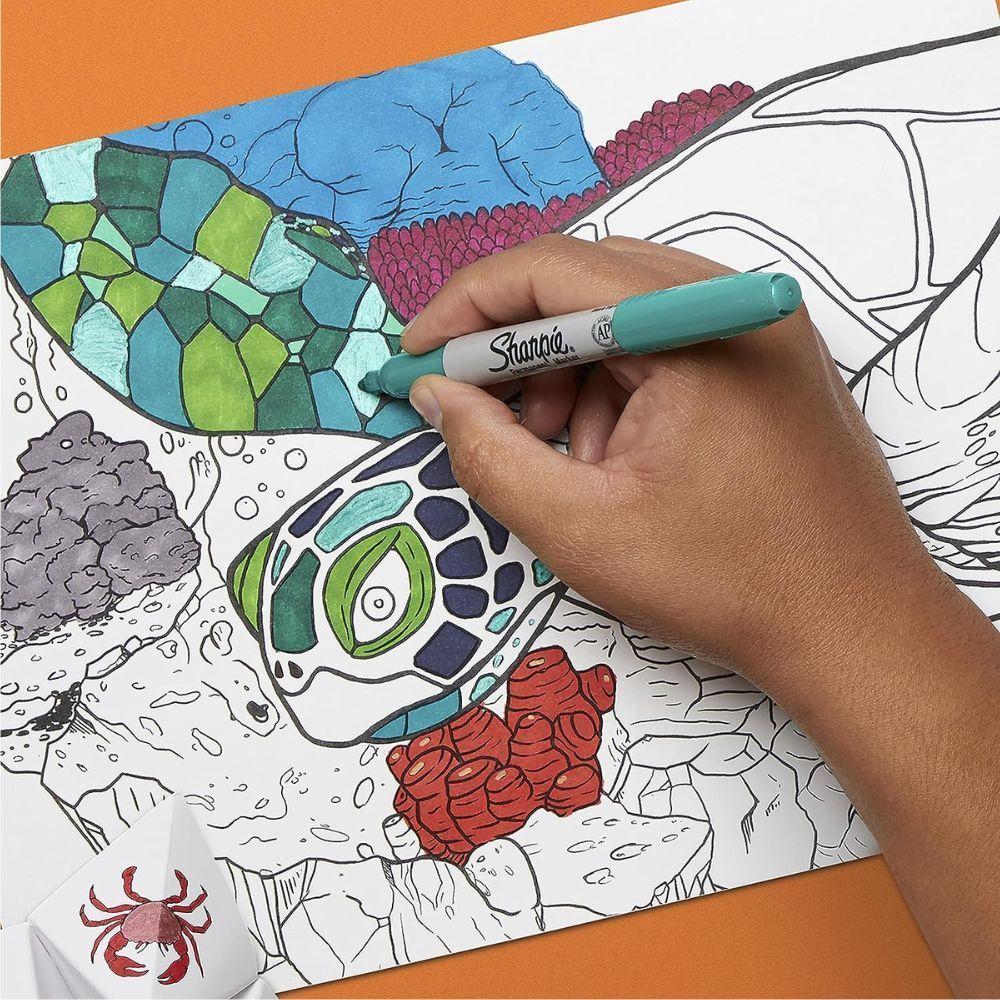 Set 45 Marcadores Sharpie The Ultimate Collection-6