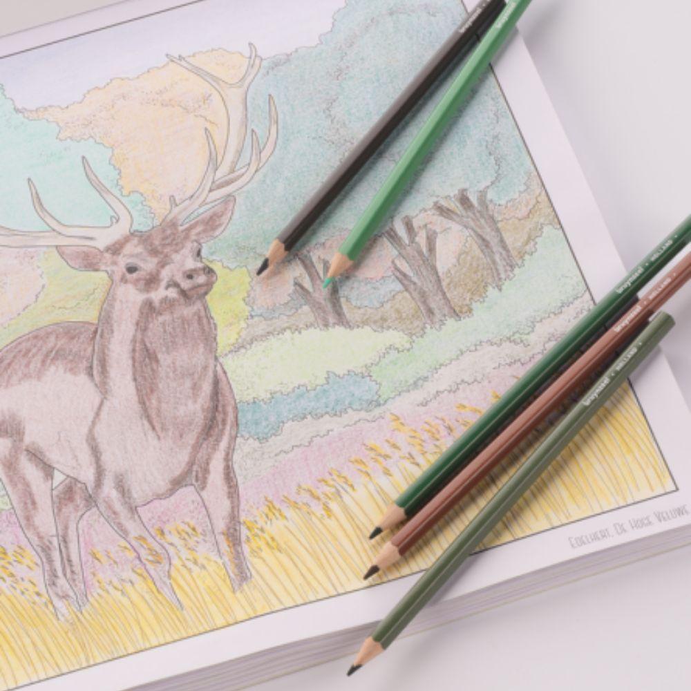 Lápices de Colores Bruynzeel Colouring & Drawing 70 Piezas-3