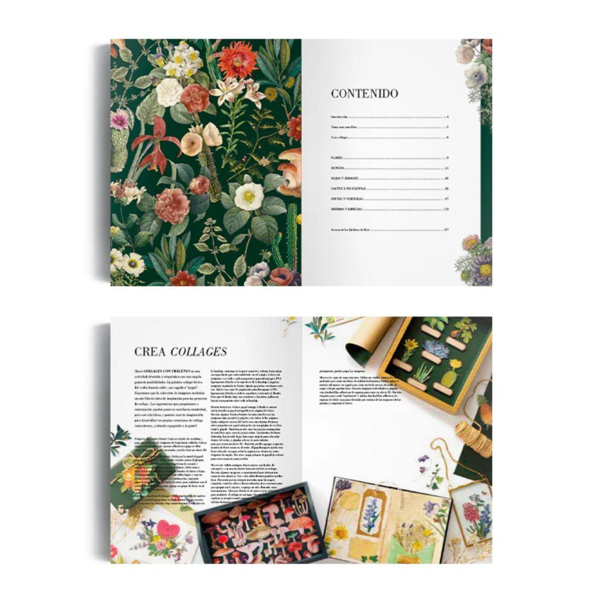 Libro Ilustración Botánica para Recortar y hacer Collage-2