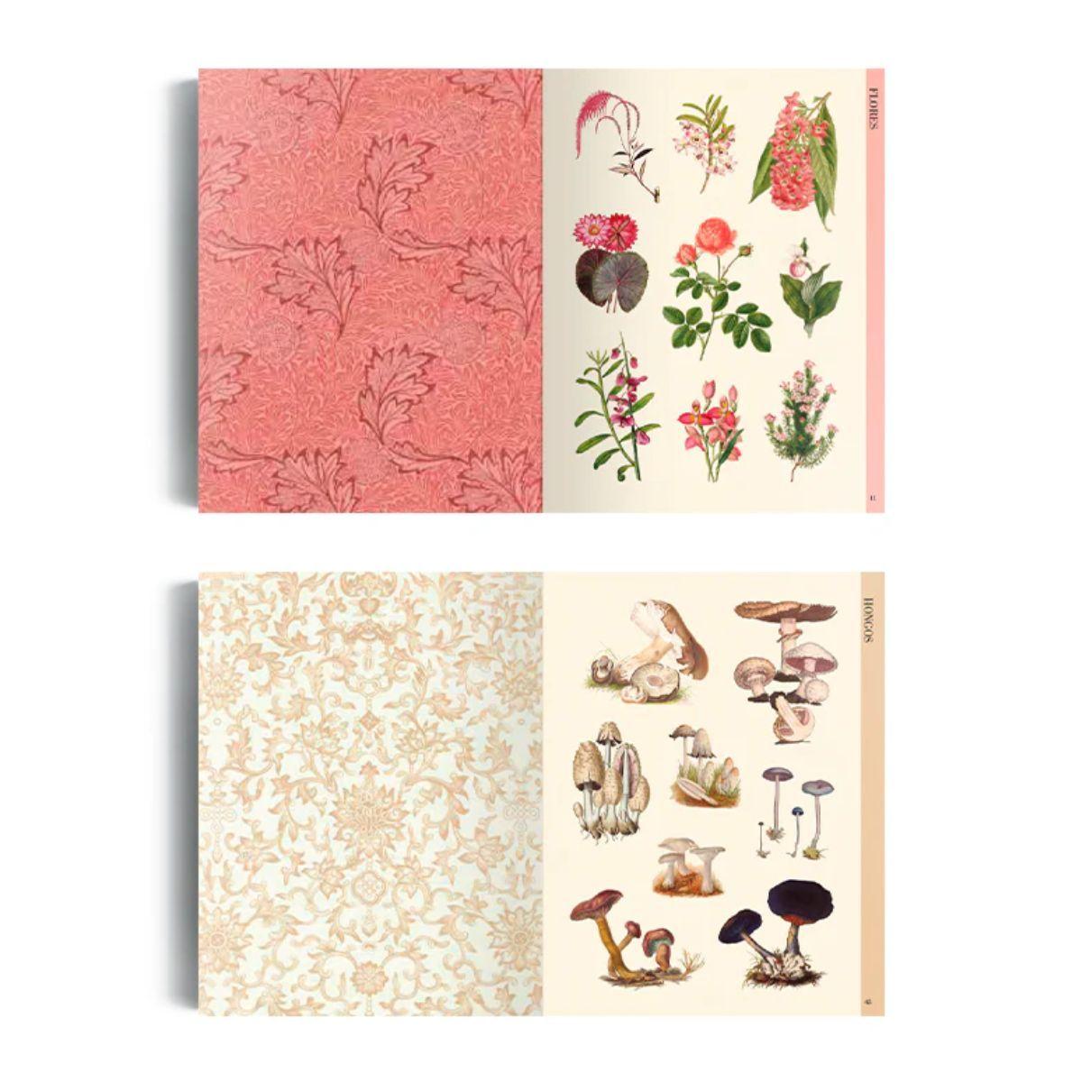 Libro Ilustración Botánica para Recortar y hacer Collage-3
