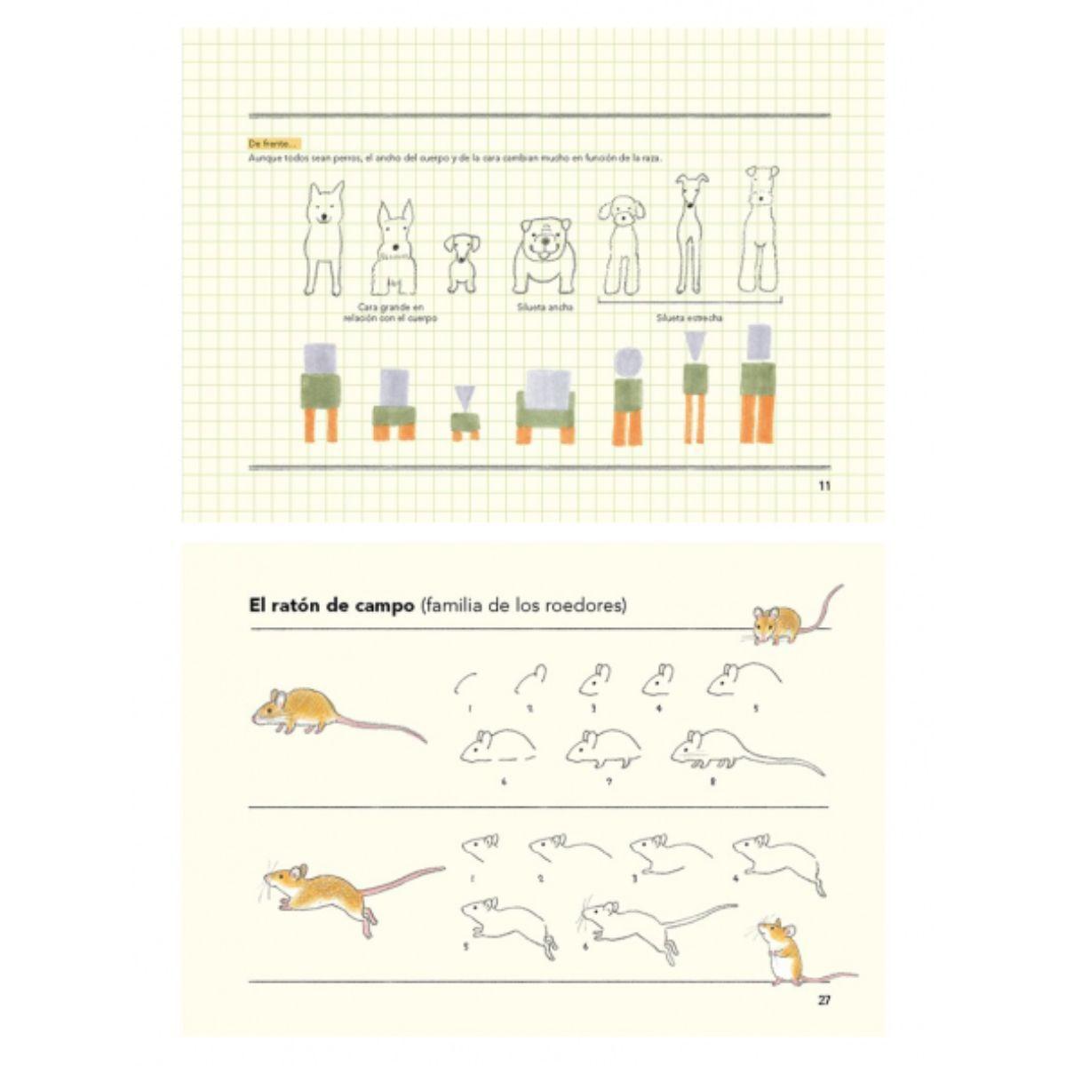 Libro Cómo Son Los animales Y Cómo Dibujarlos Ai Akikusa-3