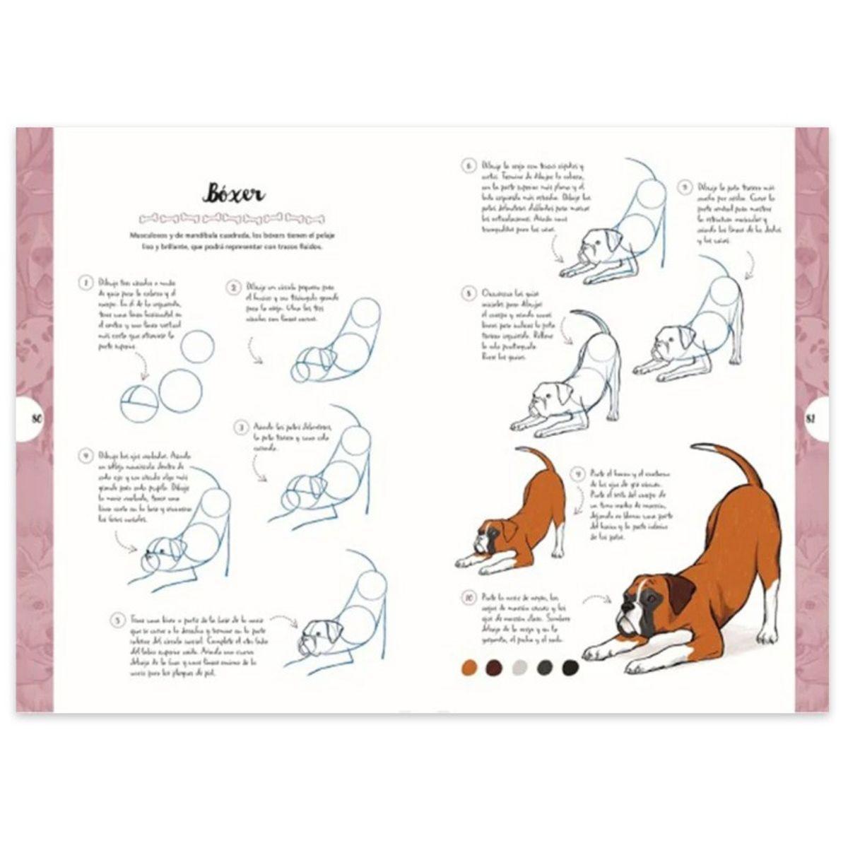 Libro Dibujar en 10 Pasos Perros Justine Lecouffe-2