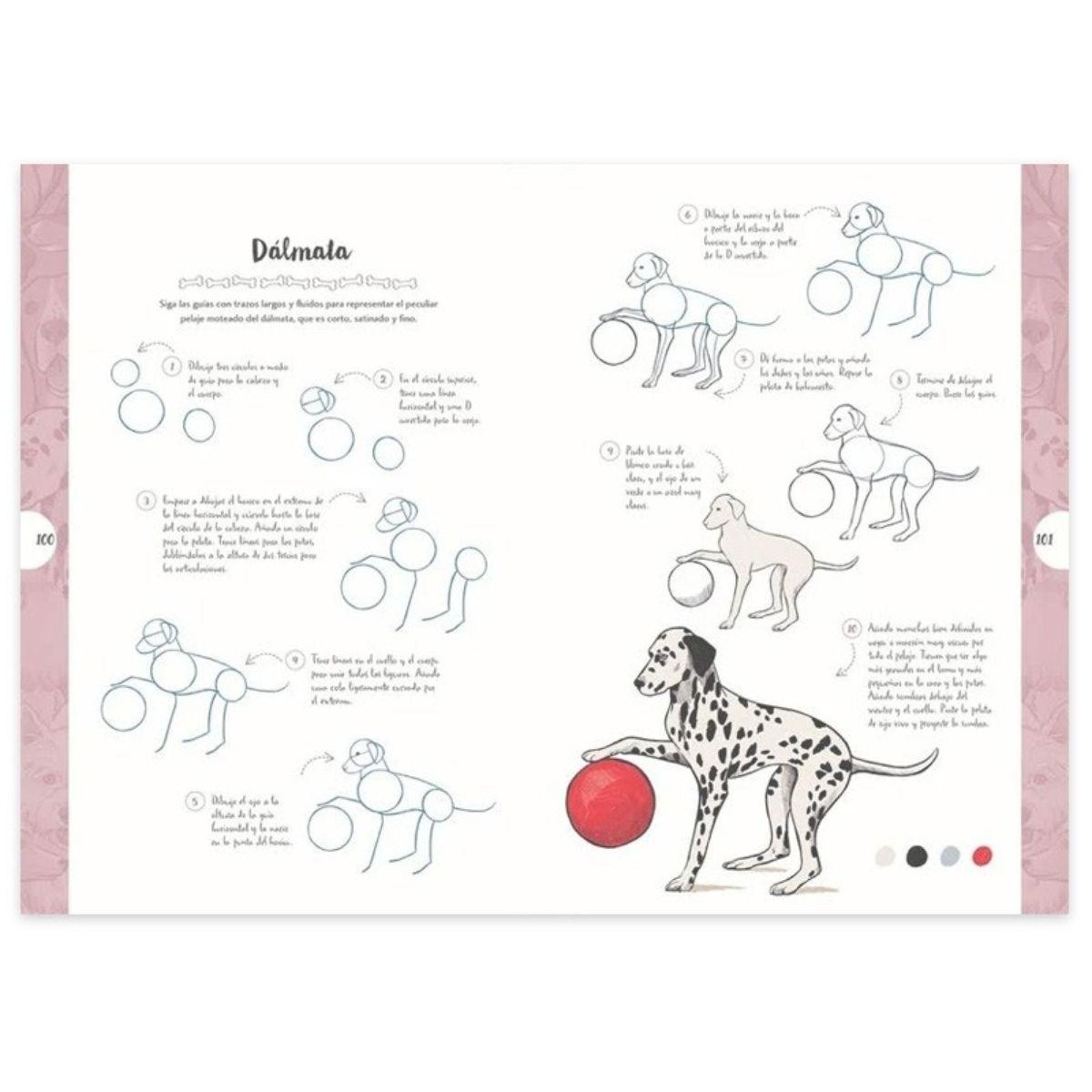 Libro Dibujar en 10 Pasos Perros Justine Lecouffe-4