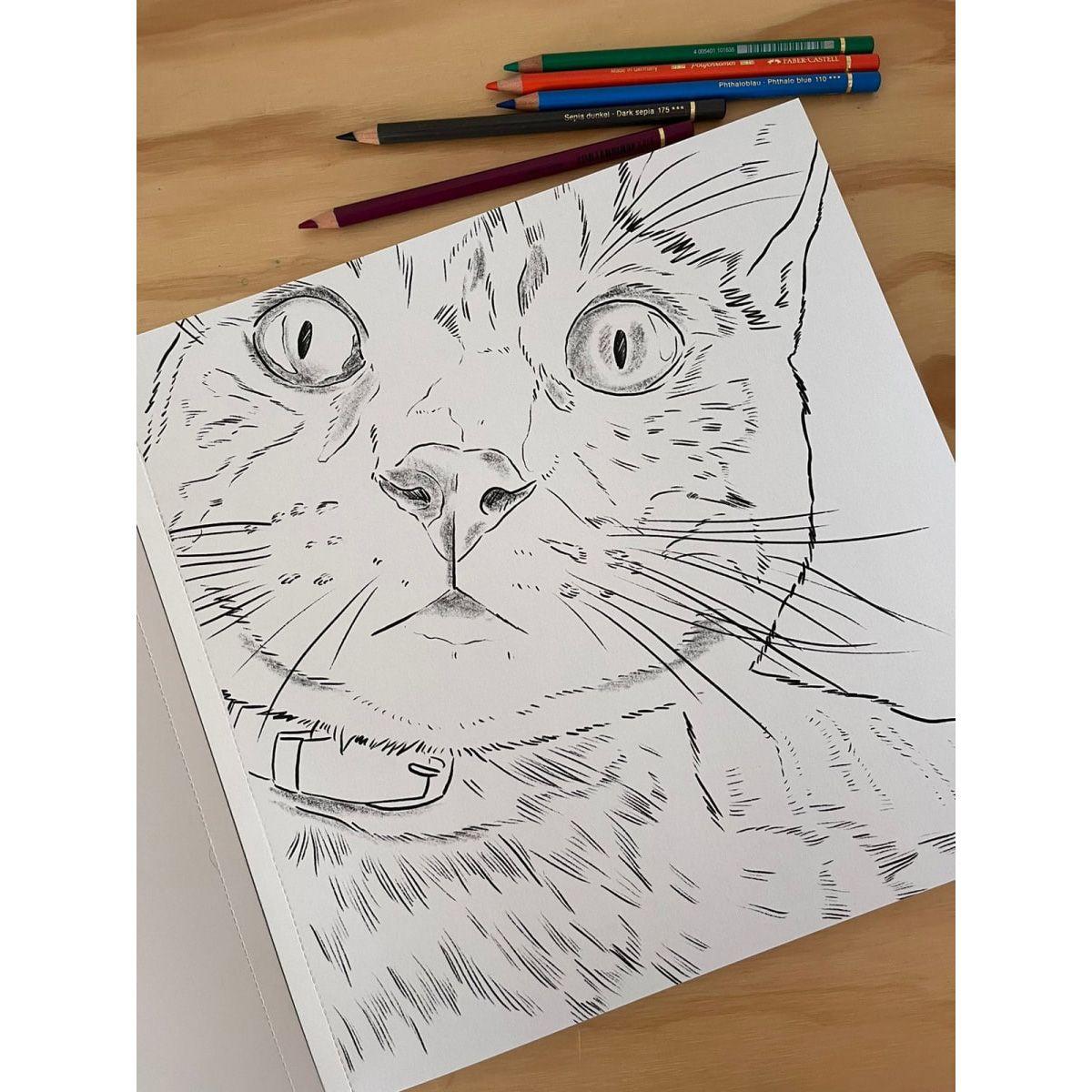 Libro para Colorear Gatos Cata Fuenzalida-3