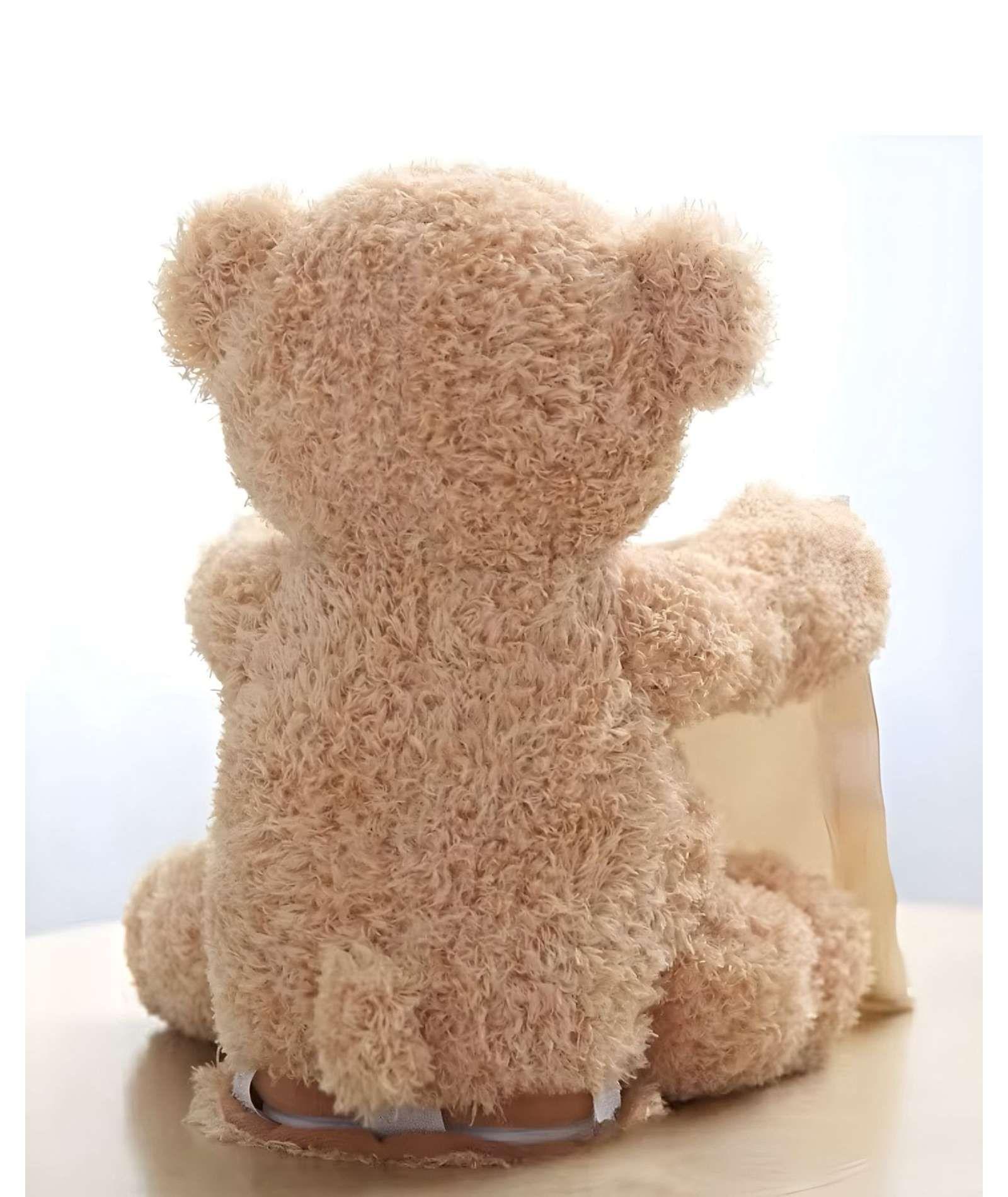 OSO PELUCHE MUSICAL INTERACTIVO ESCONDITE INFANTIL-2