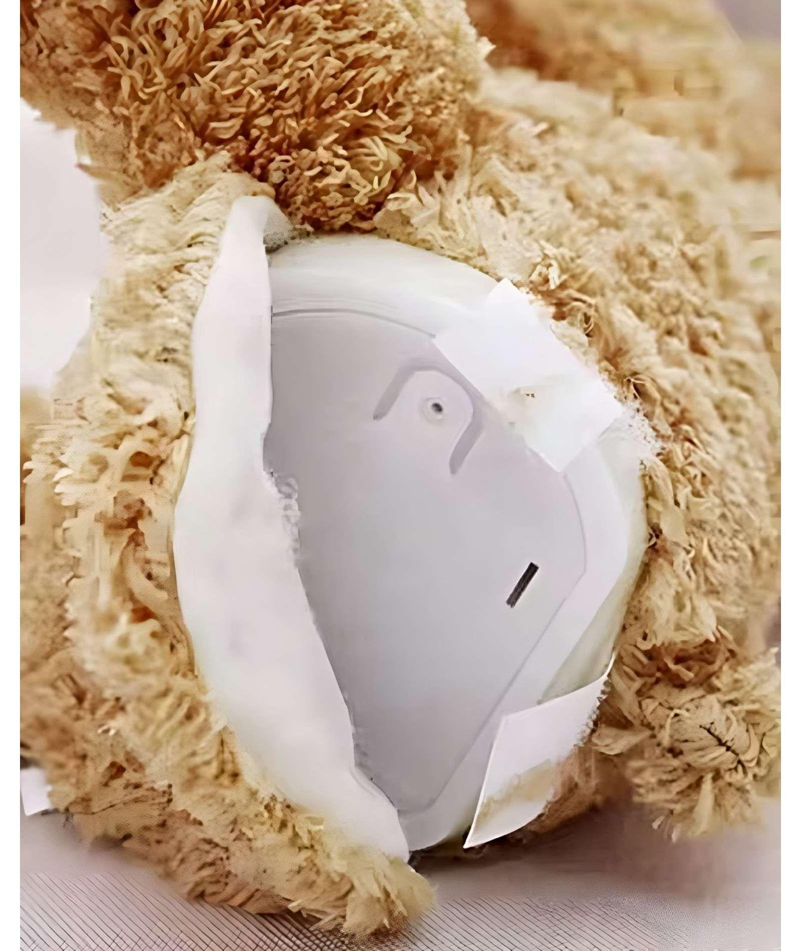 OSO PELUCHE MUSICAL INTERACTIVO ESCONDITE INFANTIL-3