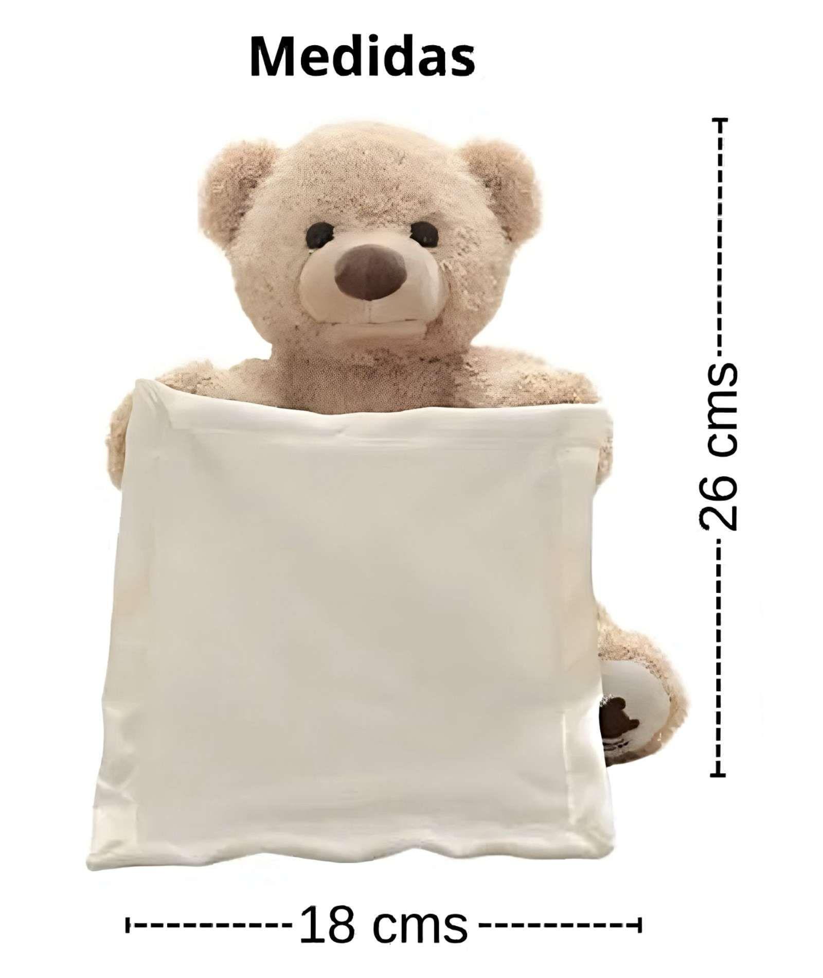 OSO PELUCHE MUSICAL INTERACTIVO ESCONDITE INFANTIL-4