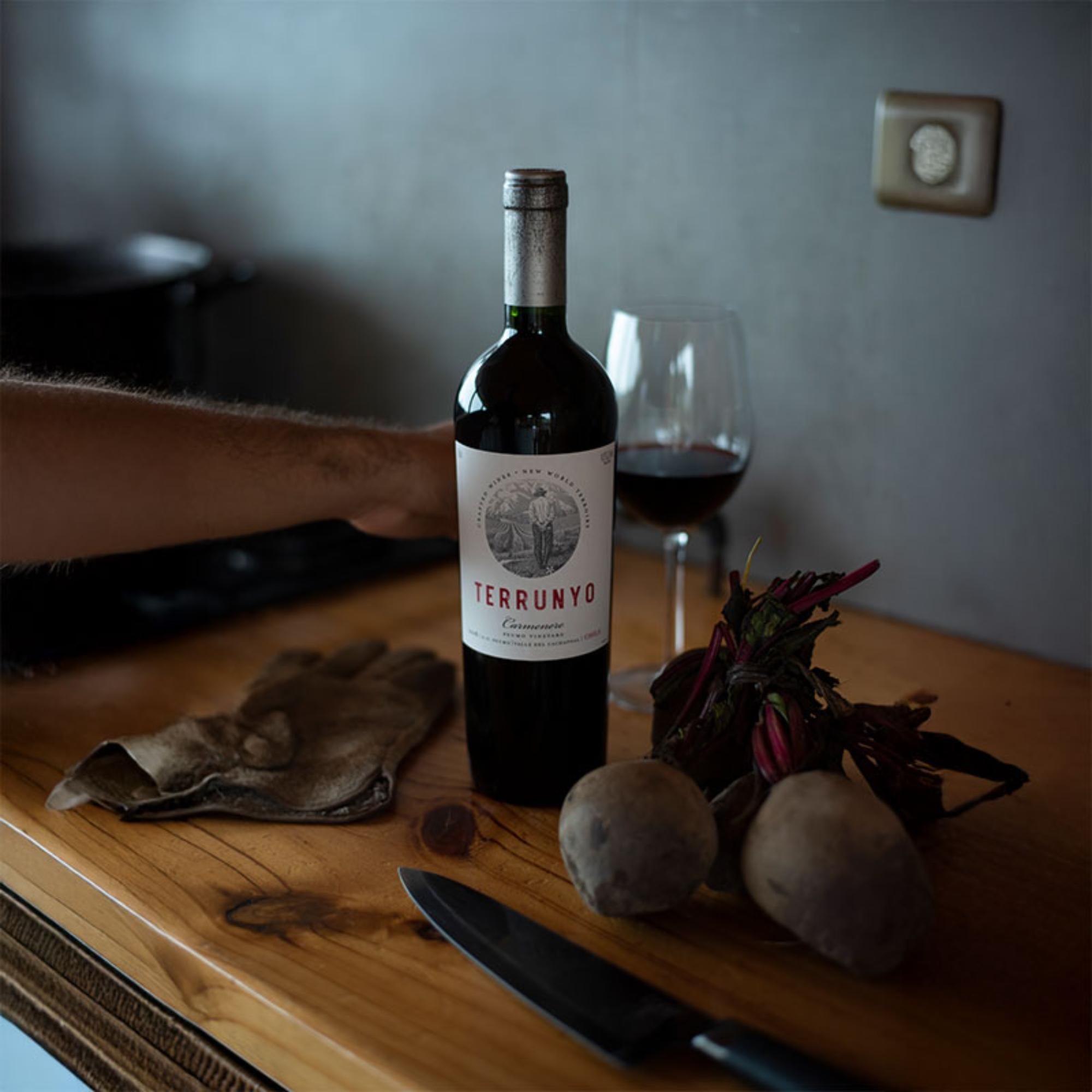 Terrunyo Carmenere Botella 750 cc.-2