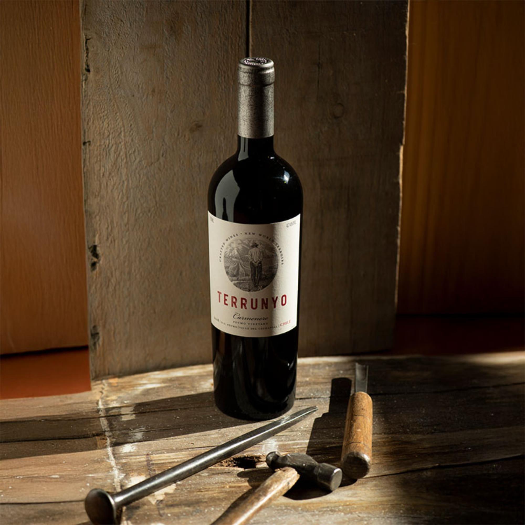 Terrunyo Carmenere Botella 750 cc.-3