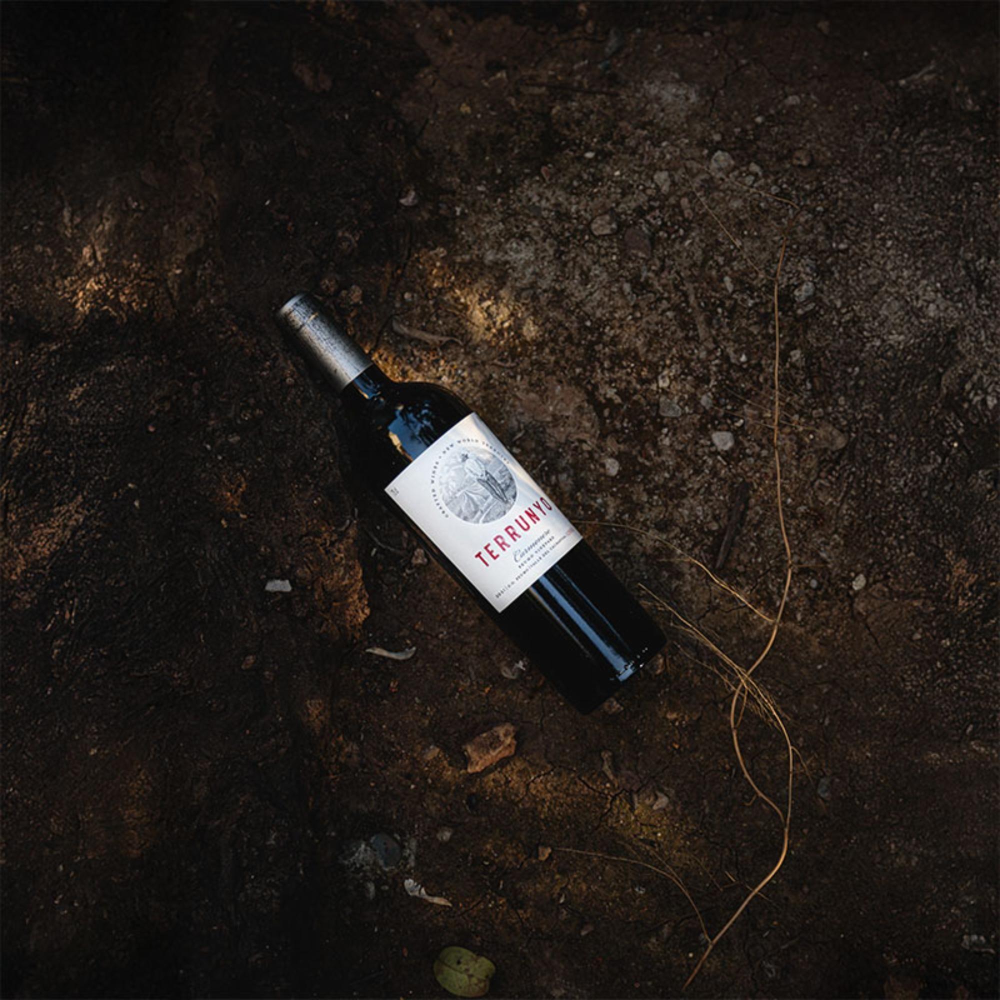 Terrunyo Carmenere Botella 750 cc.-4
