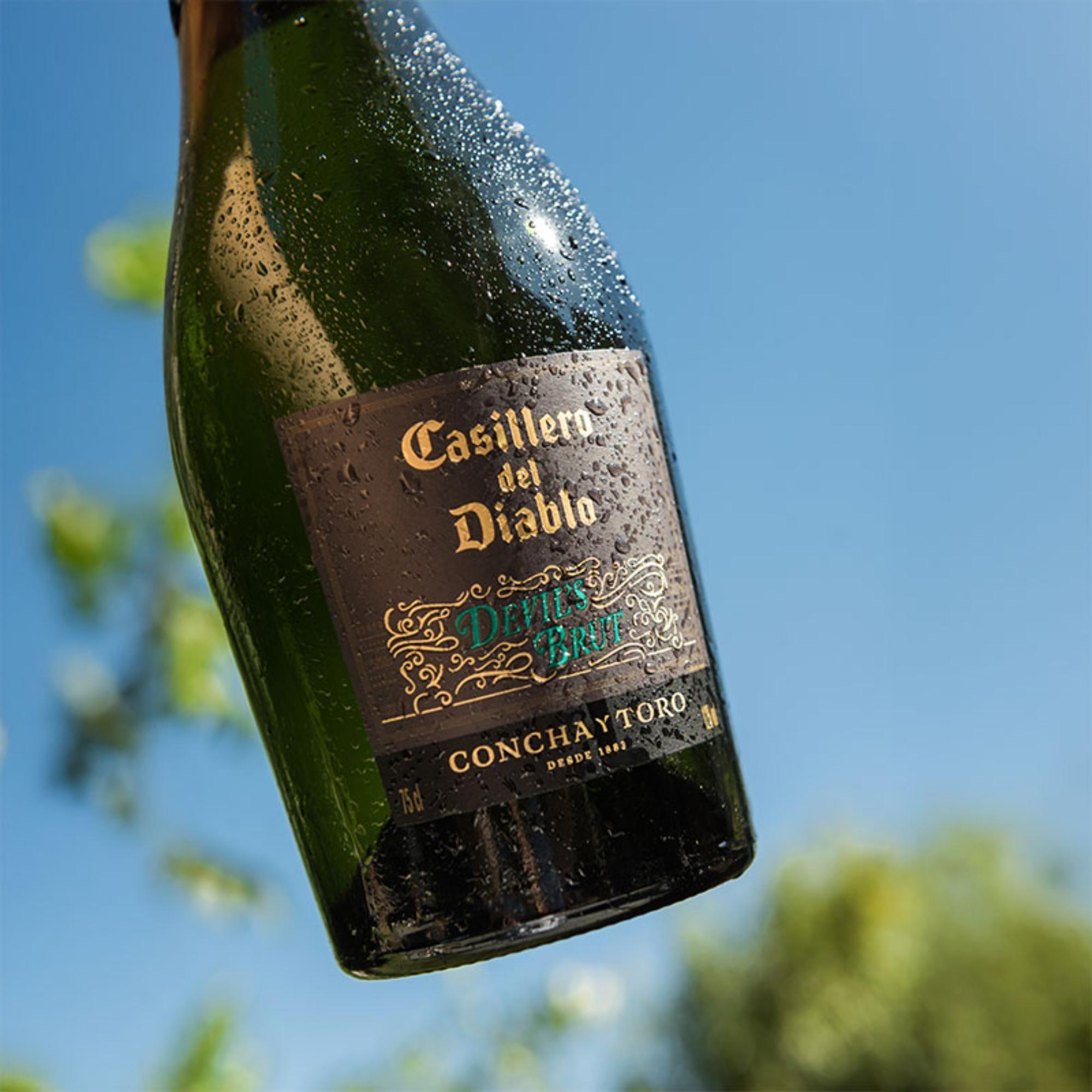 Casillero Devil´s Collection Brut Botella 750 cc.-4