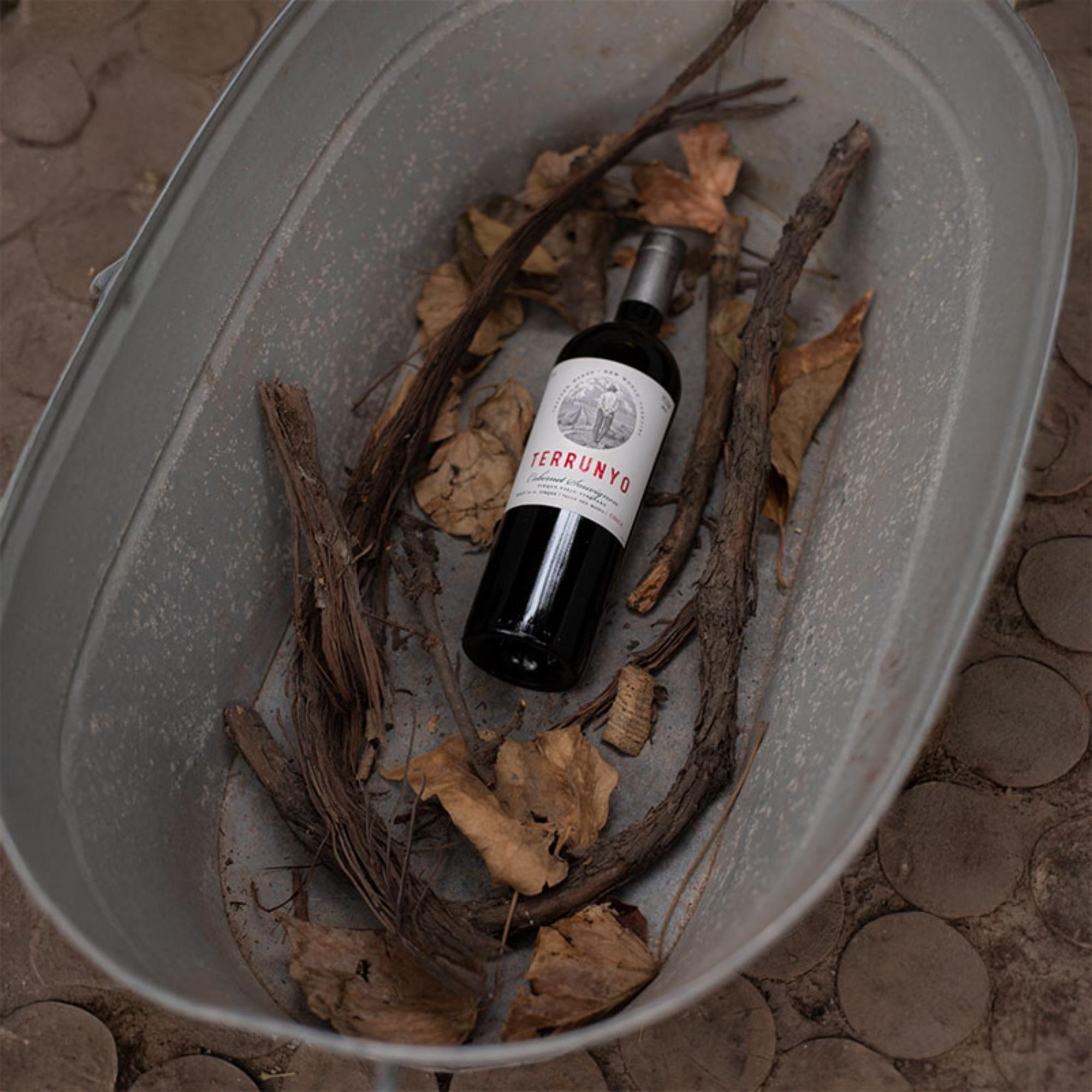 Terrunyo Cabernet Sauvignon Botella 750 cc.-2