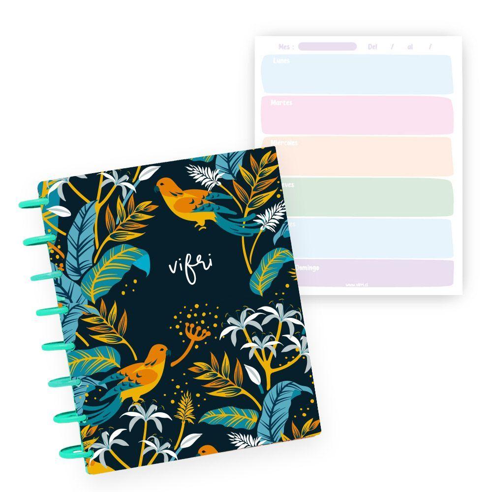 12M Arcoíris Paraíso Azul-0