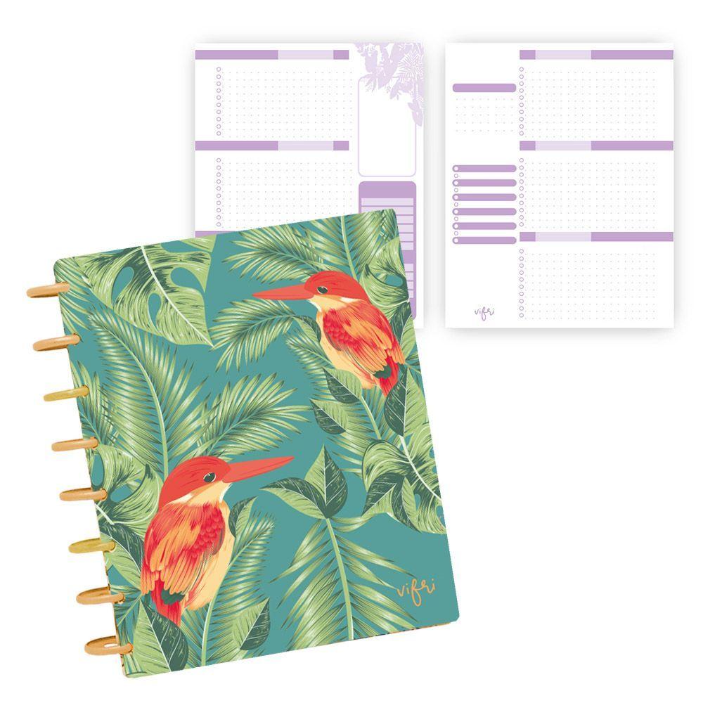 12MC-colores Martín Pescador-0