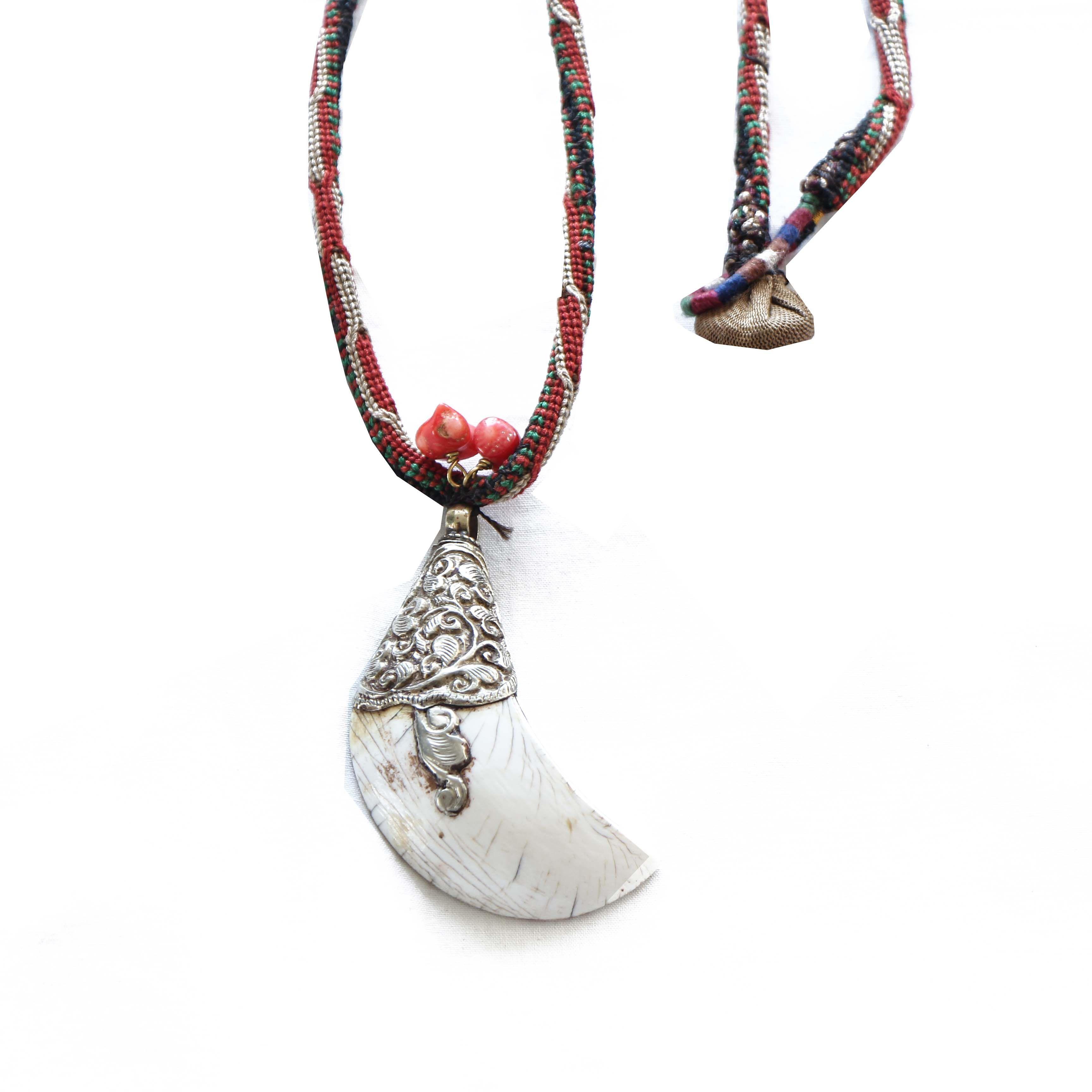 Collar Kabuk 2-1