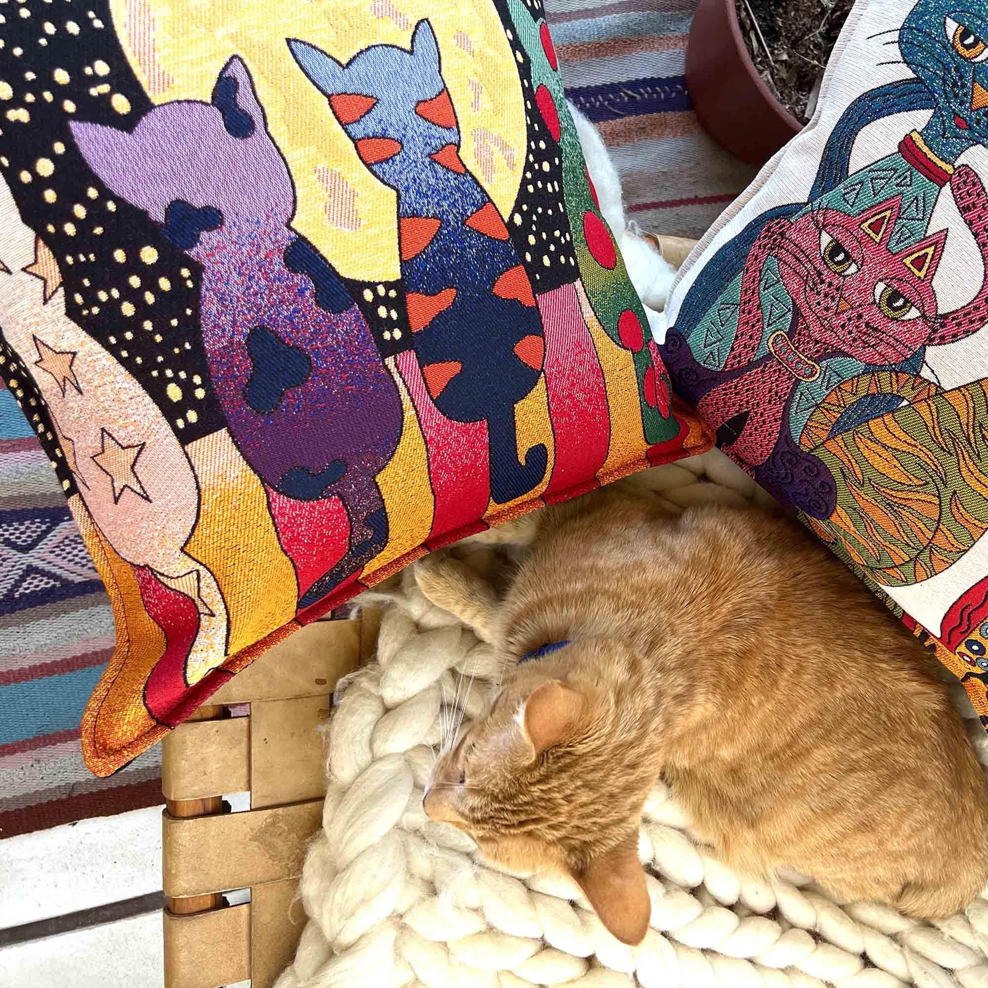Cojín algodón 44x44 Gatos nocturnos-3