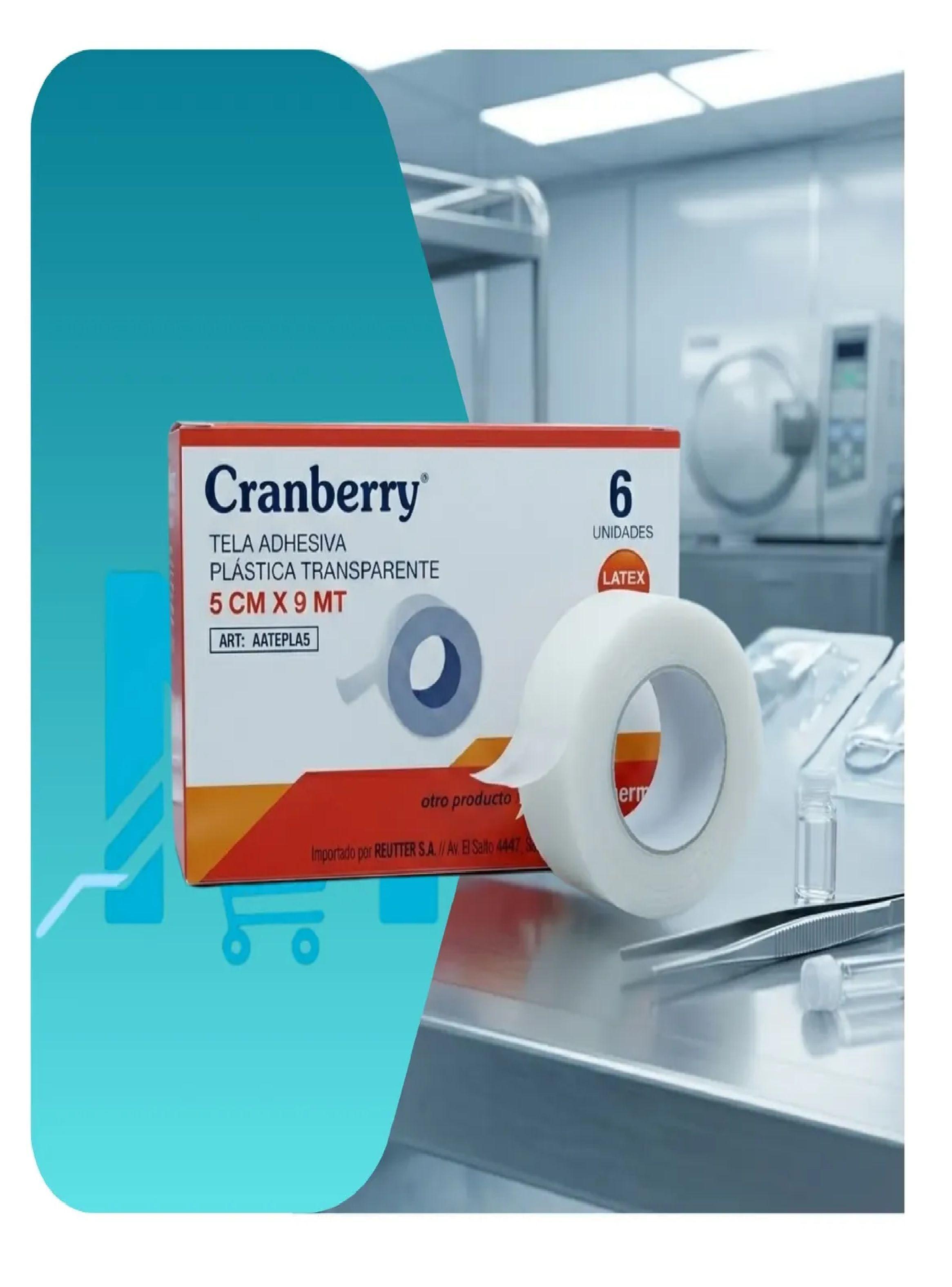 Tela Adhesiva Pl stica Transpore 5cm X 9m Cranberry Caja X6-3