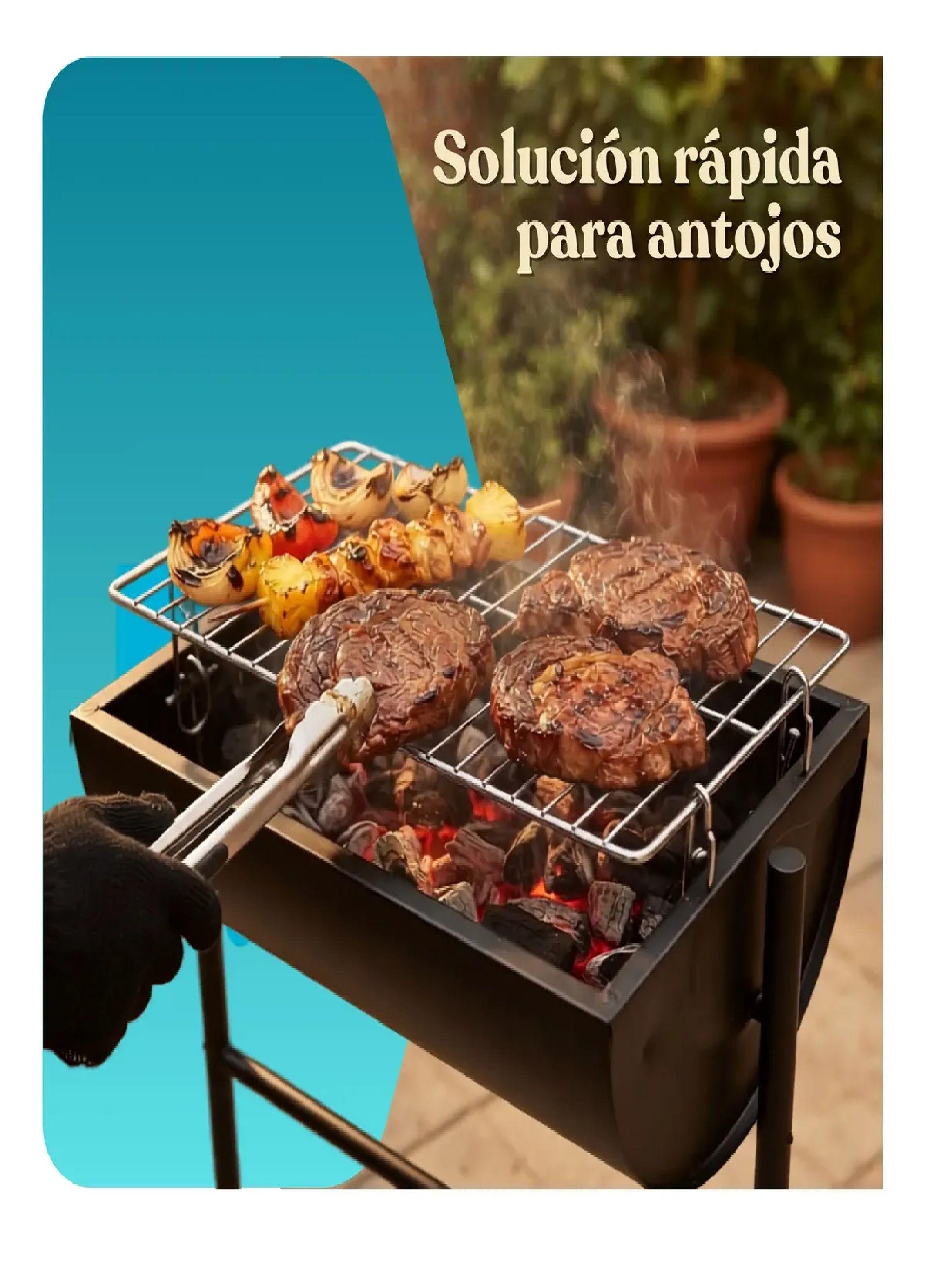 Parrilla Carbon Basic Negro 50x30x79cm Portatil 2 Posiciones-2