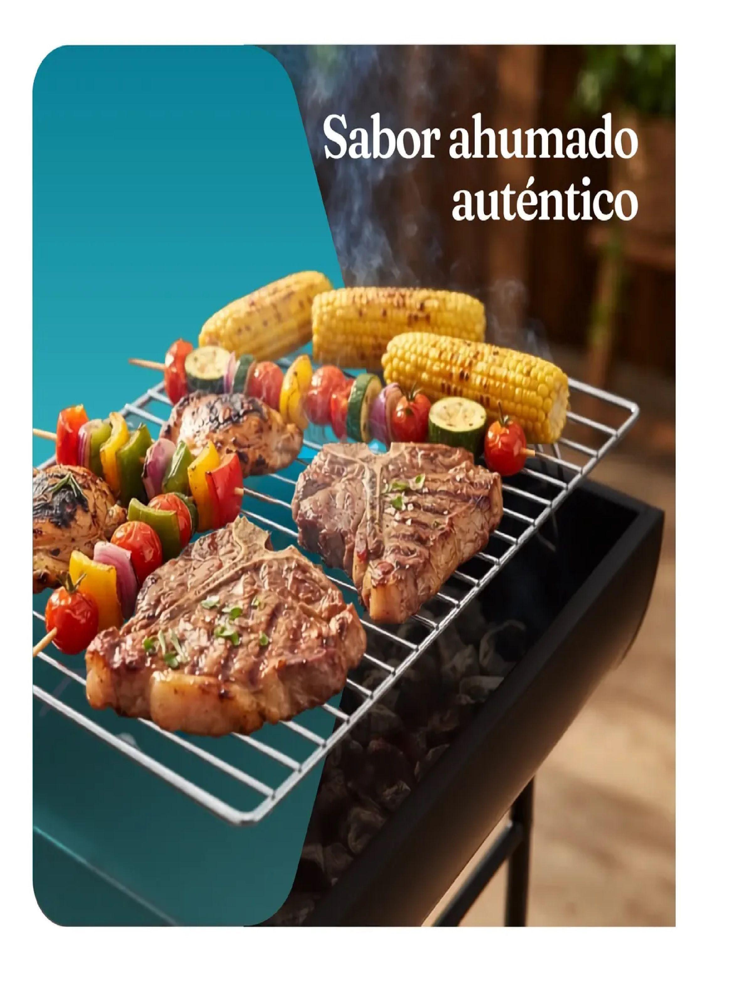 Parrilla Carbon Basic Negro 50x30x79cm Portatil 2 Posiciones-4