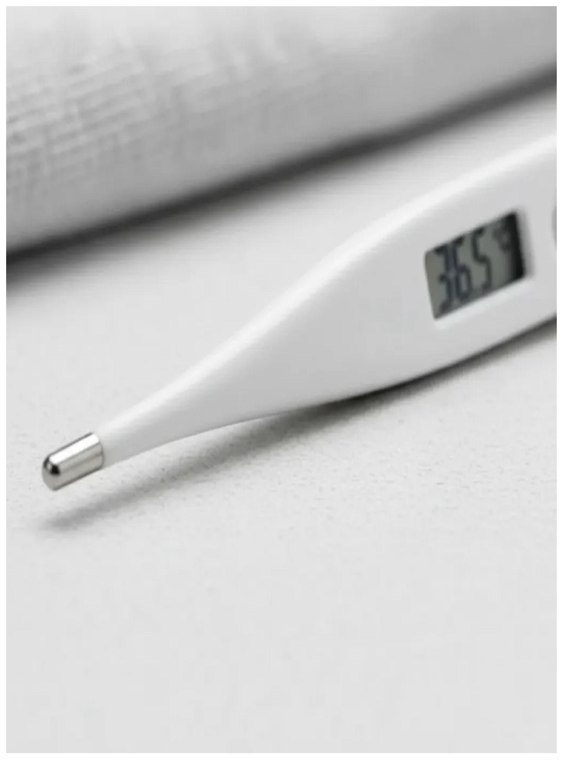 Termometro Digital Cranberry Con Alarma Y Estufe Para Guarda-4