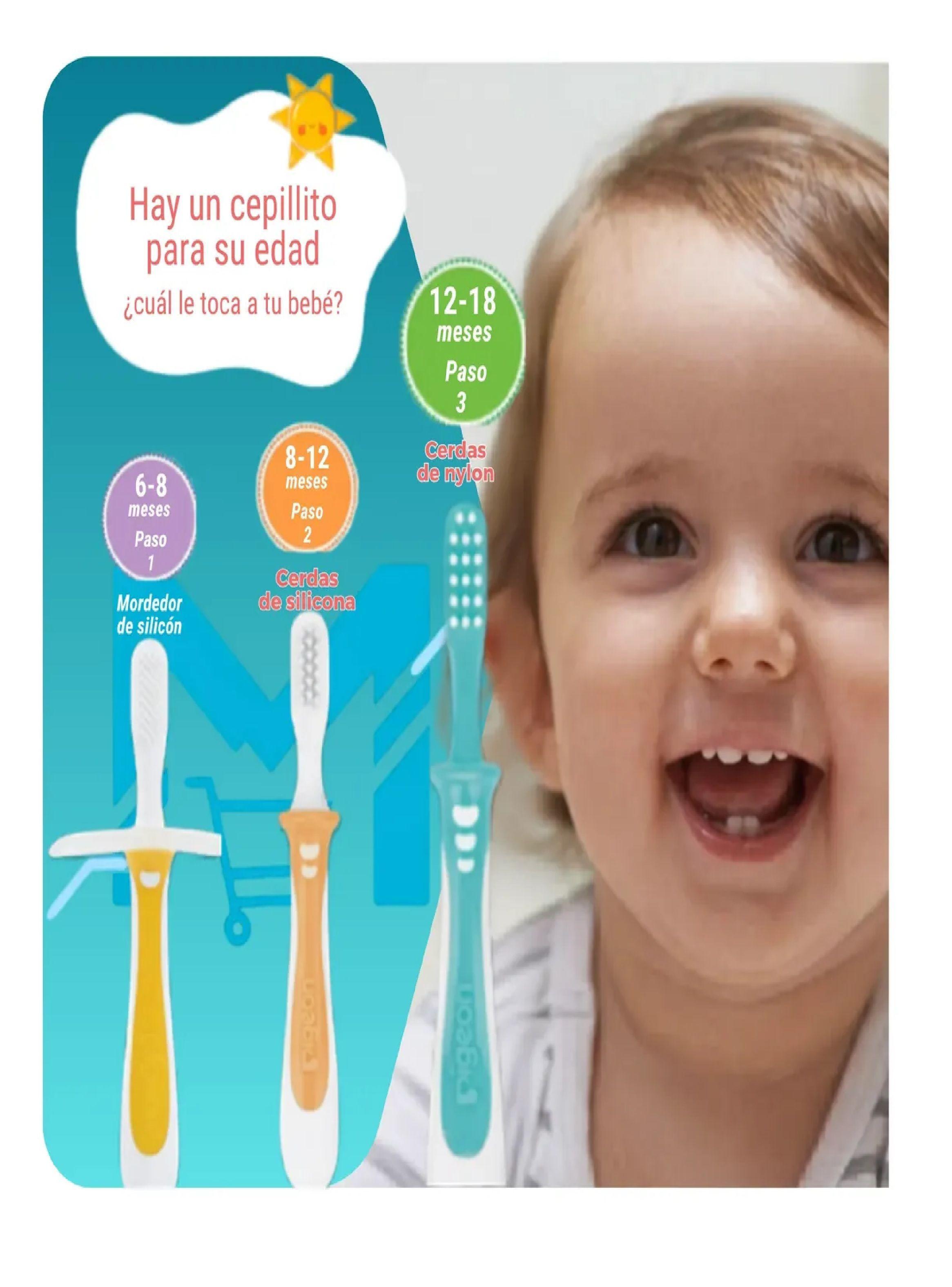 Set De Cepillos Dentales Aprendizaje Pigeon 3 Etapas Bebe Multicolor-2