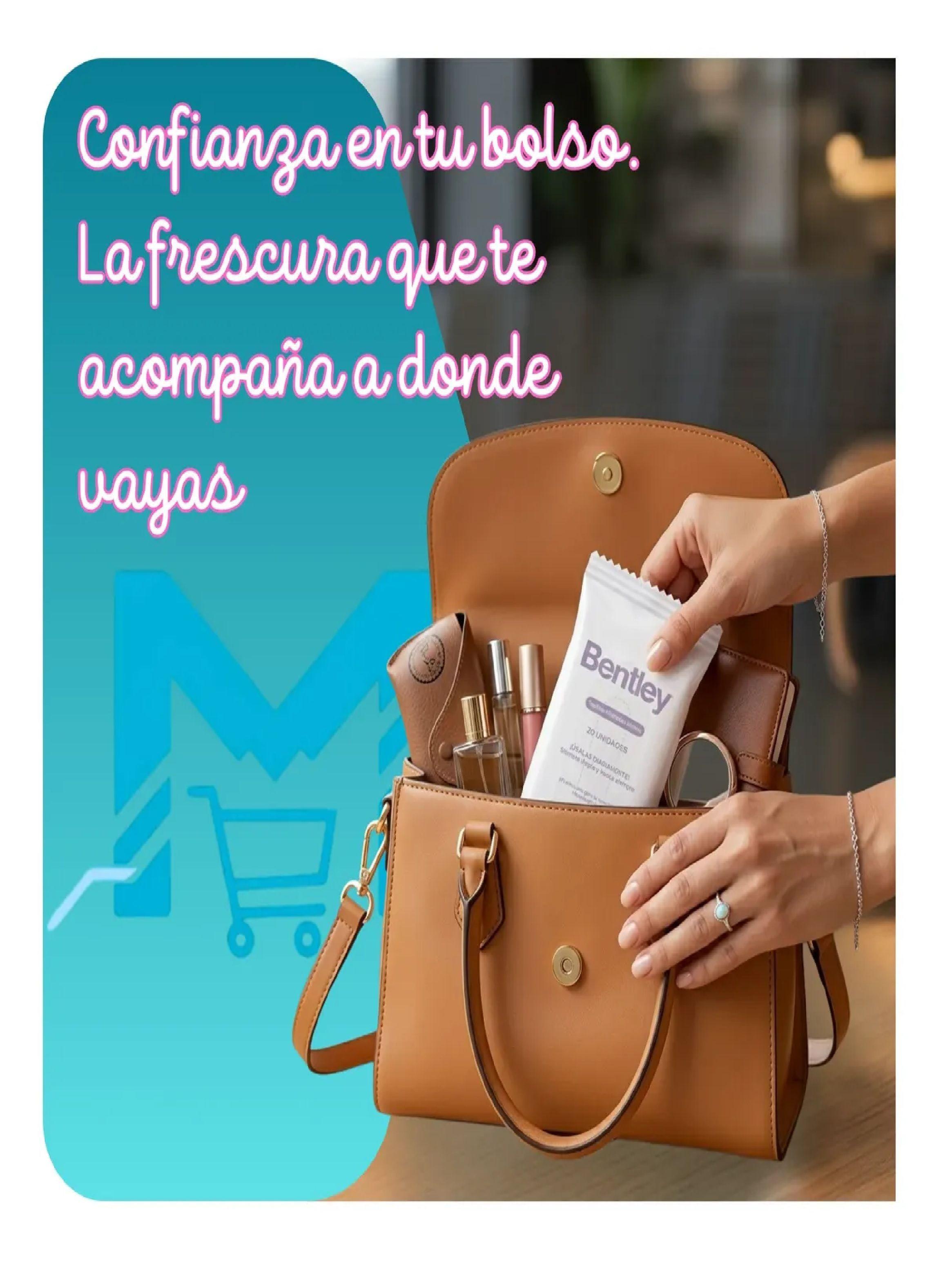 Toallitas Humedas Intimas Bentley Wipes 20un Hipoalergenica-5