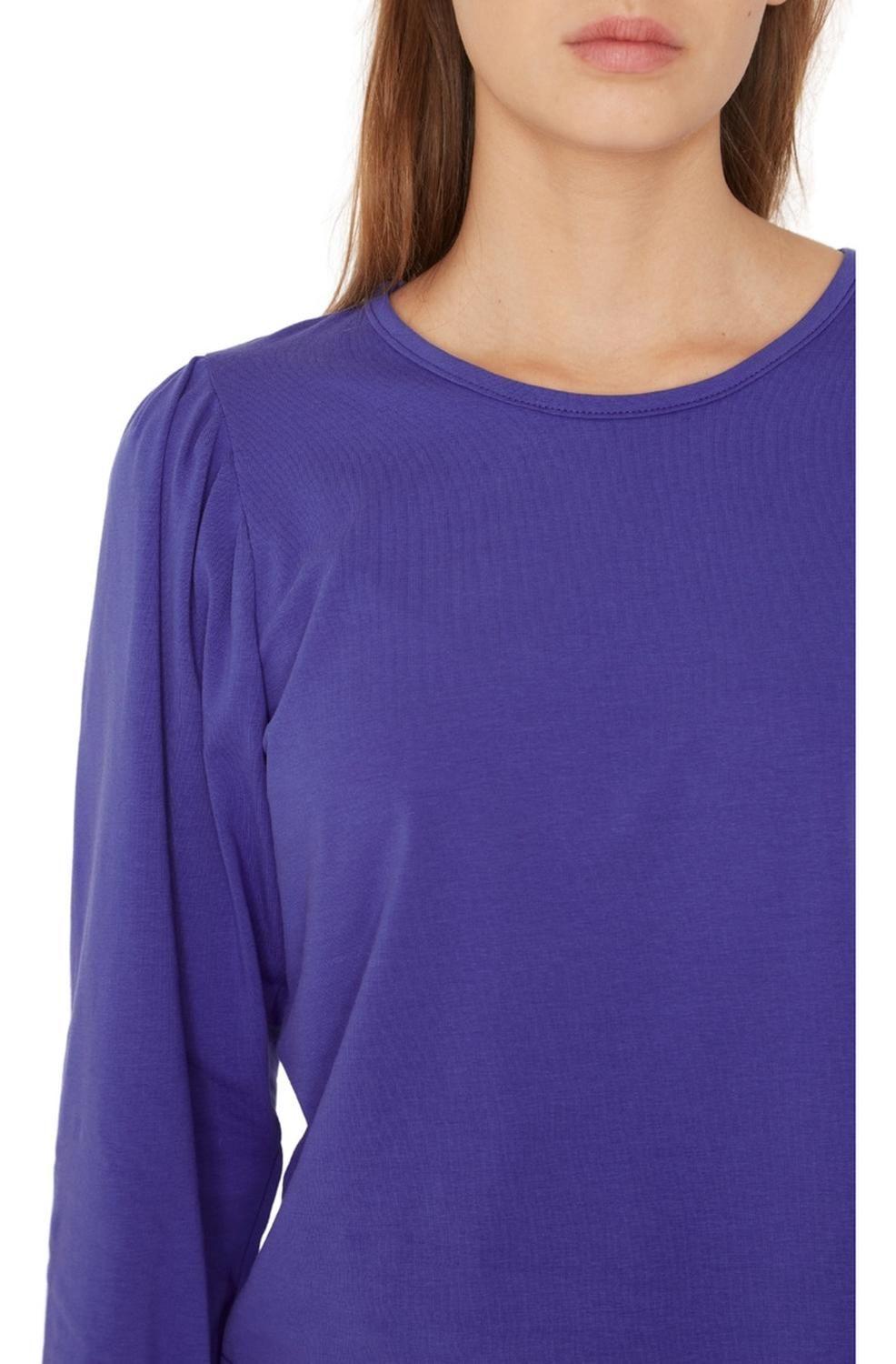 Polera Alicia Manga Larga Azul Jacinta Tienda-5