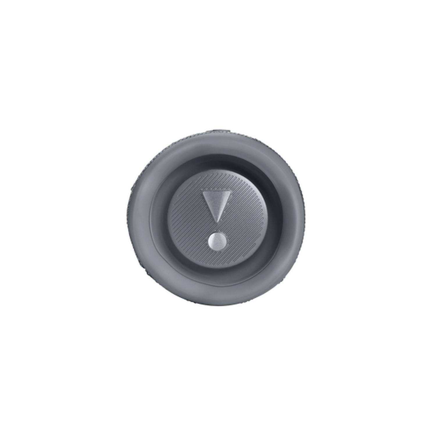 Altavoz portátil estéreo Flip 6 Gris-3