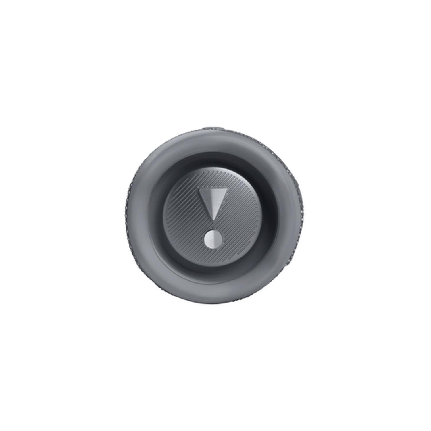 Altavoz portátil estéreo Flip 6 Gris-4