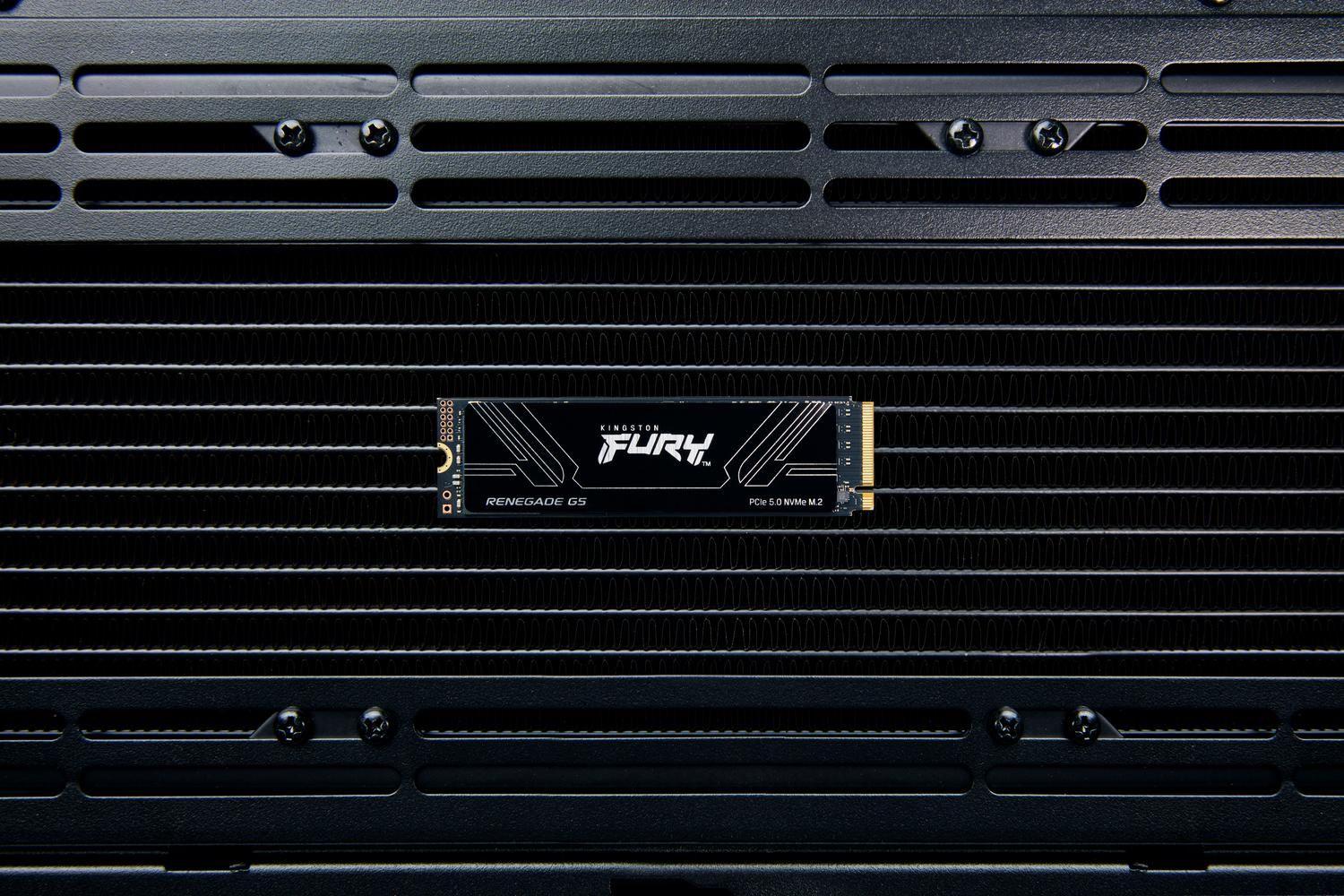 Unidad SSD Kingston FURY Renegade G5 1TB M.2 2280-5